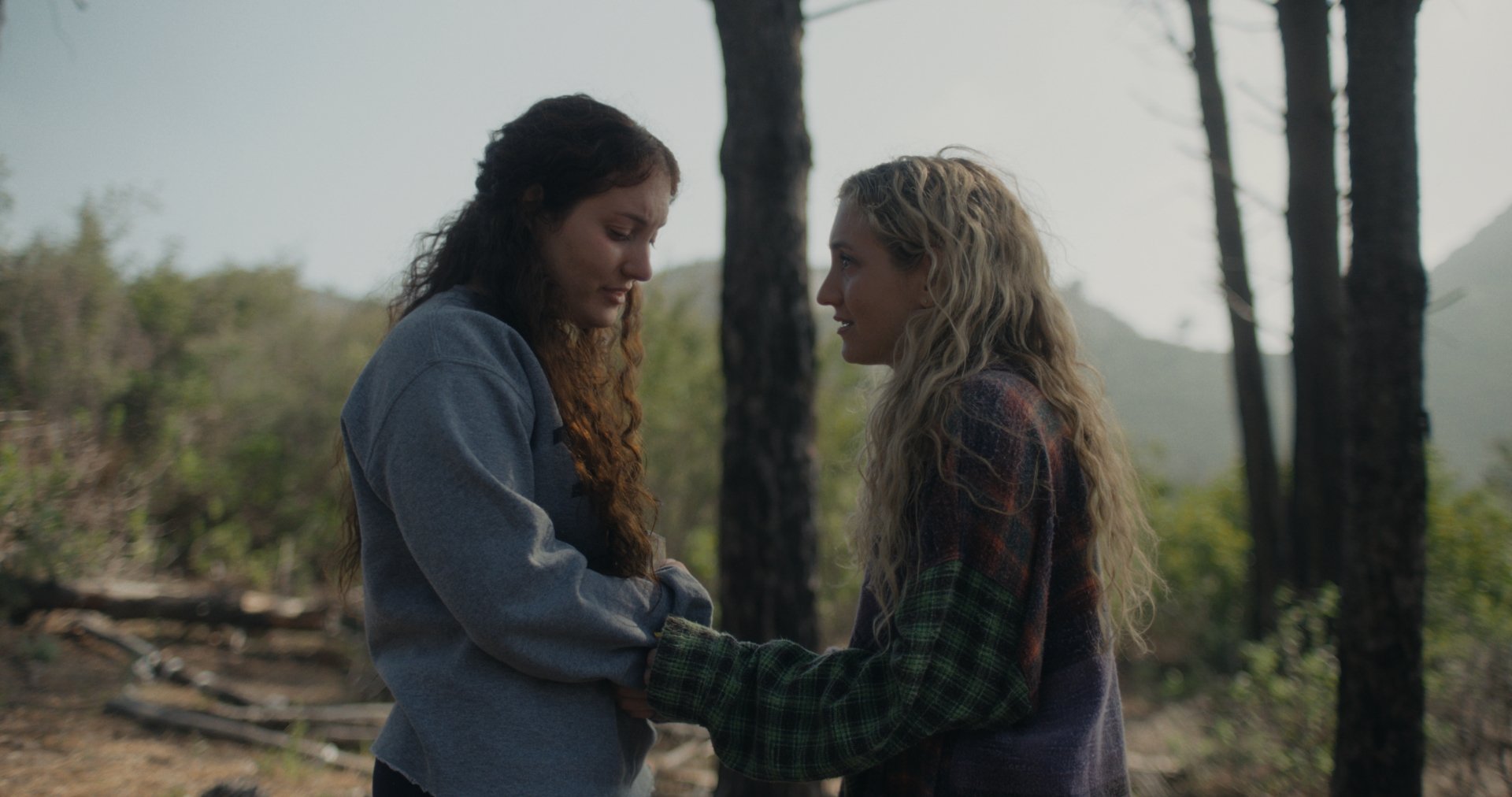 NGROMB Still V1_2.2.203.jpg