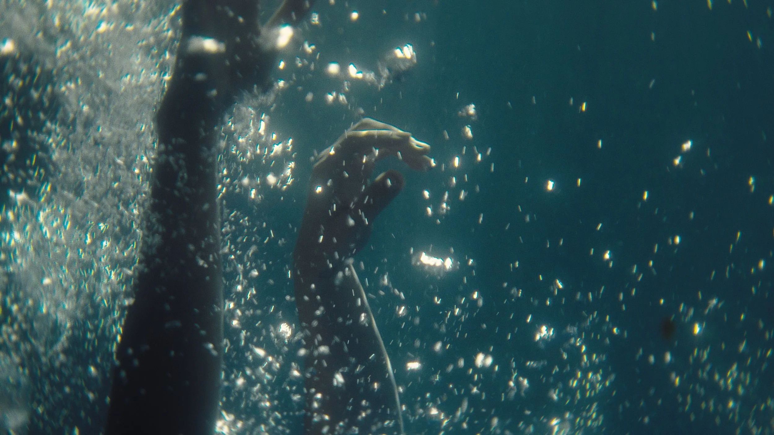 HER STILLS 2_7.2.18.jpg