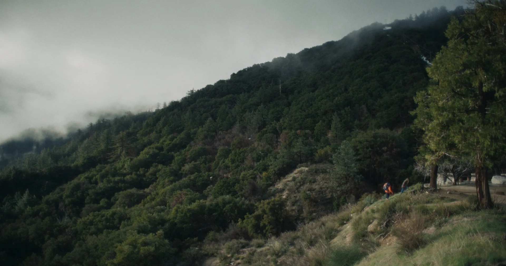 NGROMB Still V1_2.2.207.jpg