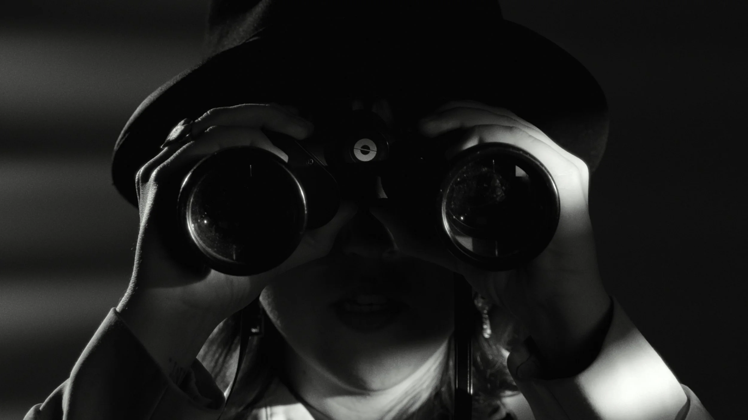 Vig Stills_2.16.1.jpg