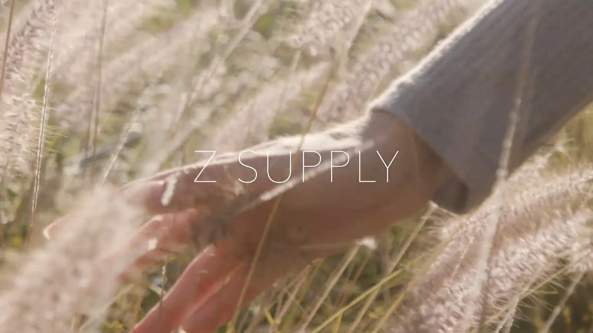 Z-Supply_Fall_Chapter_1_Stills_1.1.1.jpg
