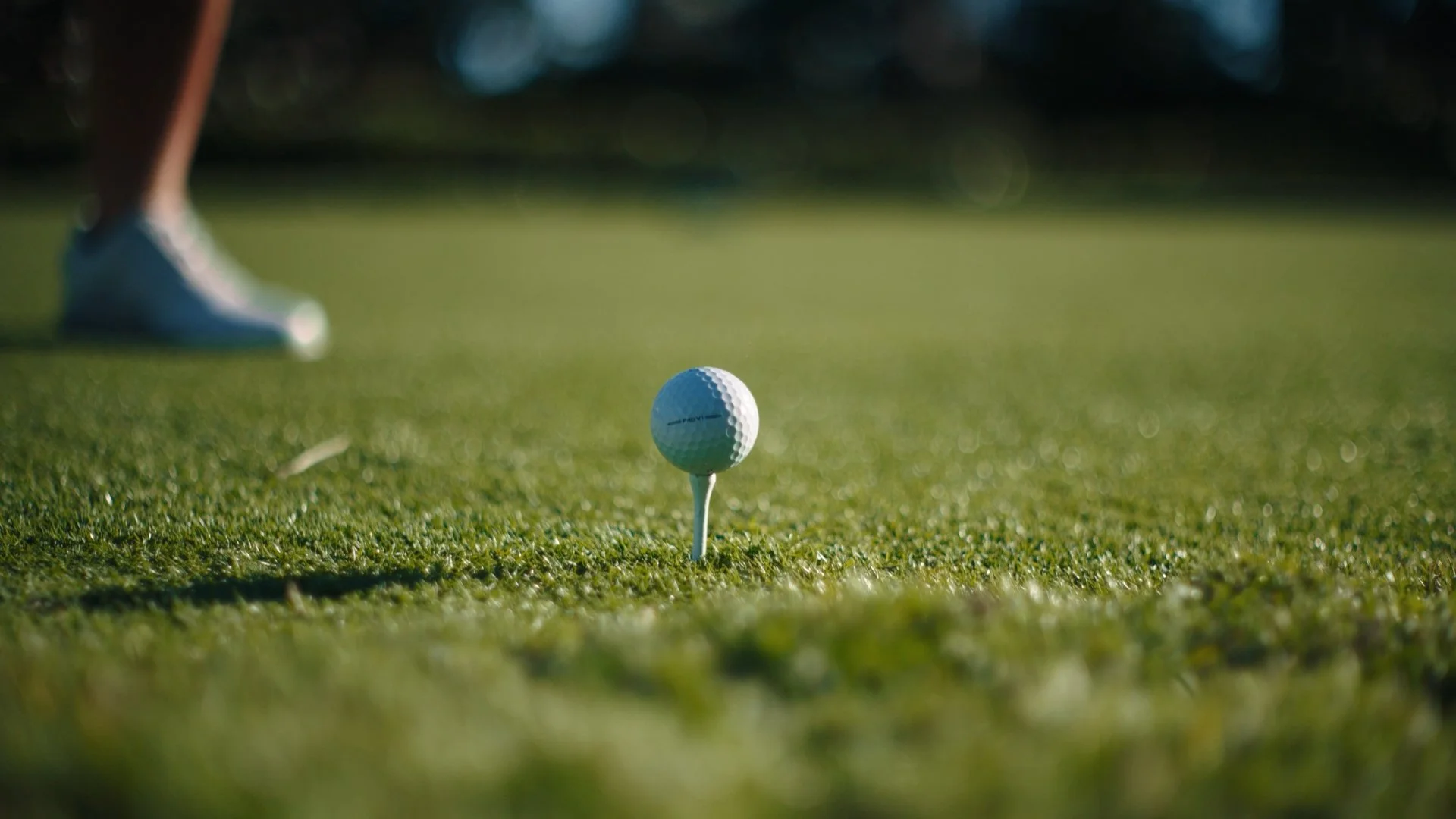 LTTRV STILLS_1.1.12.jpg