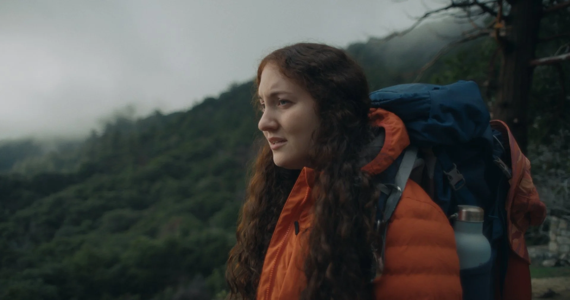 NGROMB Still V1_2.2.211.jpg