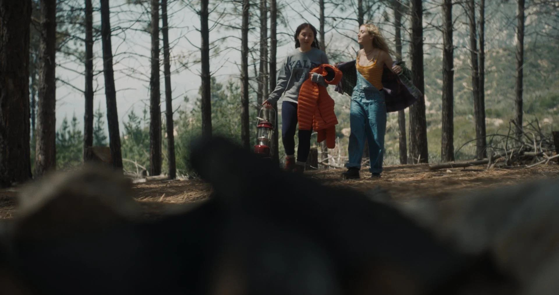 NGROMB Still V1_2.2.147.jpg