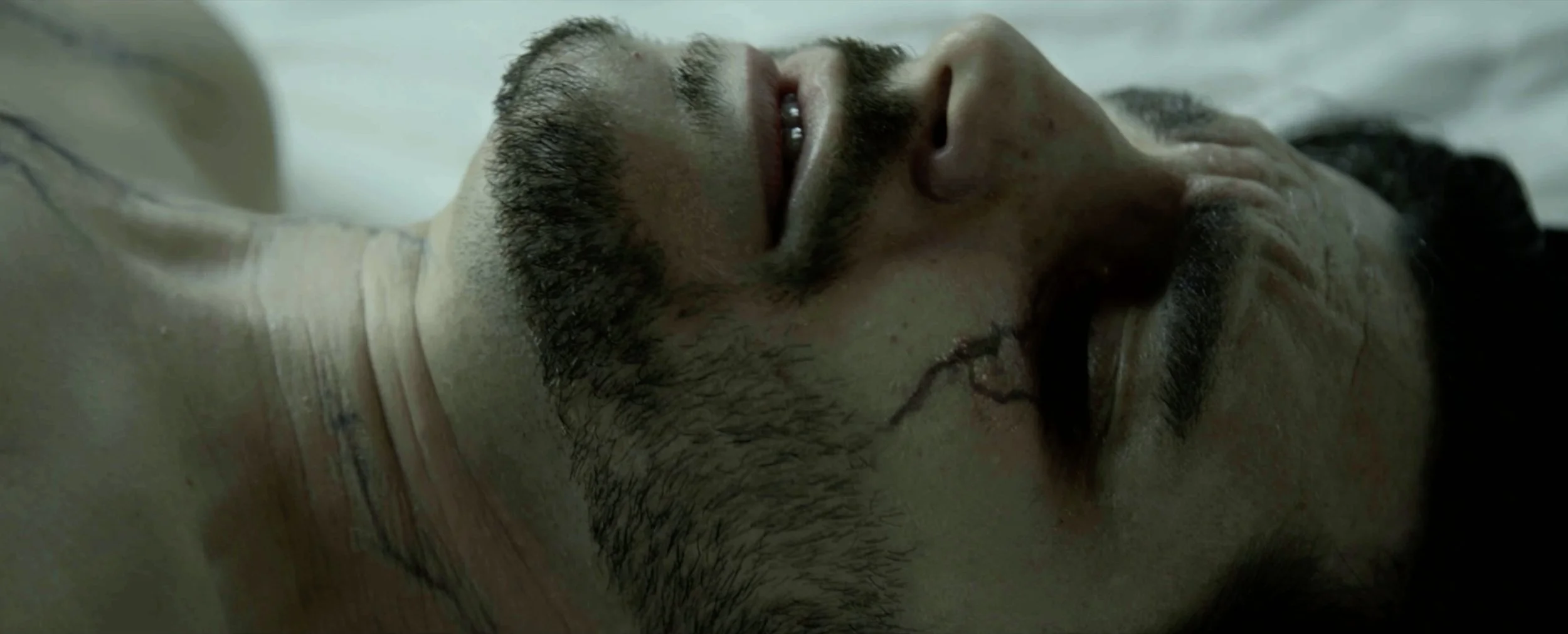 Screen Shot 2018-07-084 at 10.17.37 PM.jpg