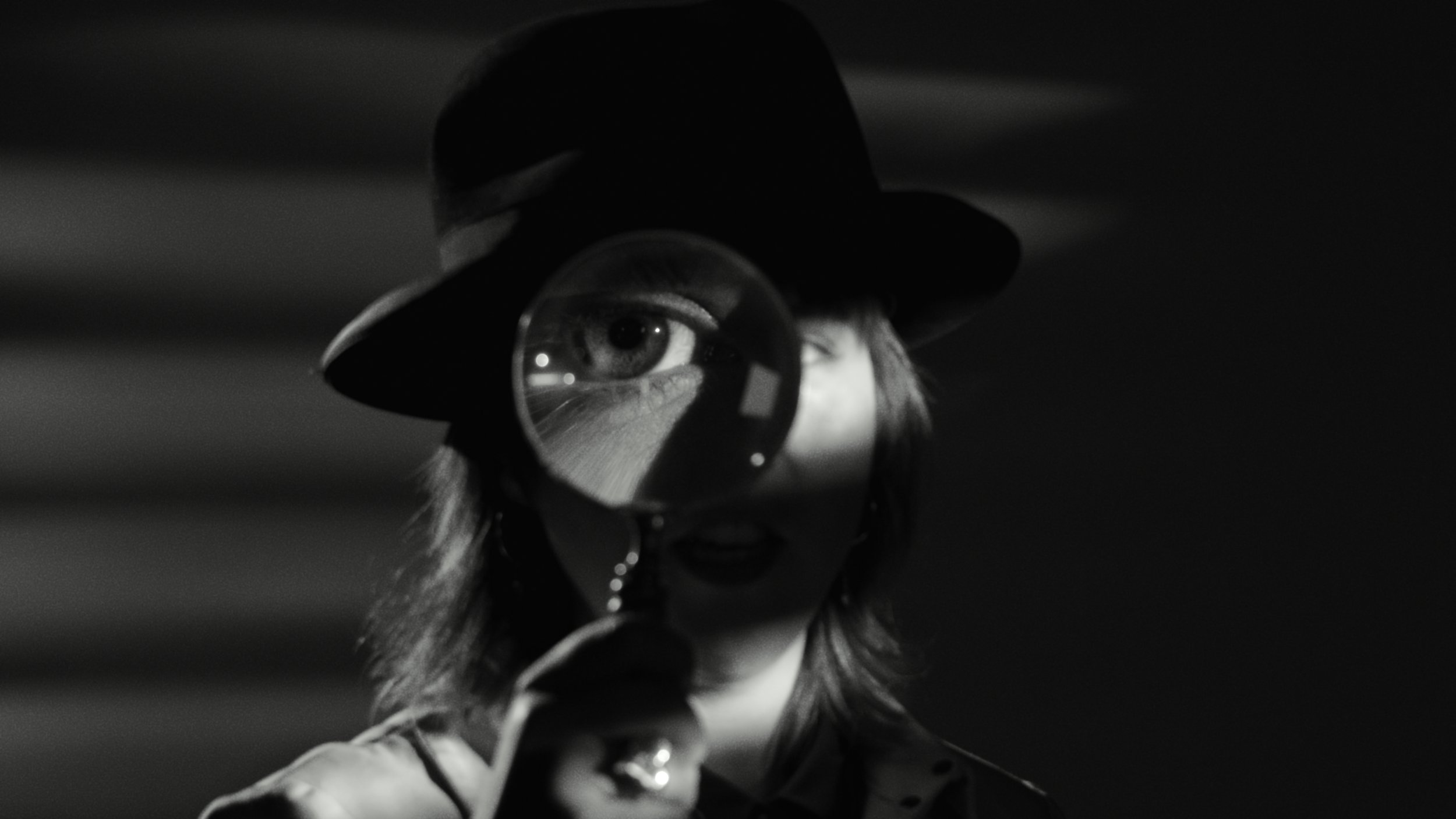 Vig Stills_1.28.1.jpg