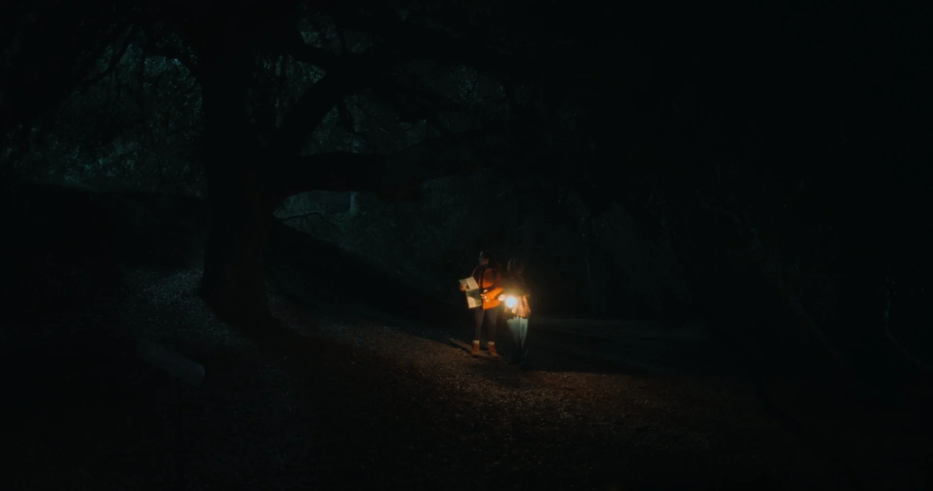 NGROMB Still V1_2.2.65.jpg