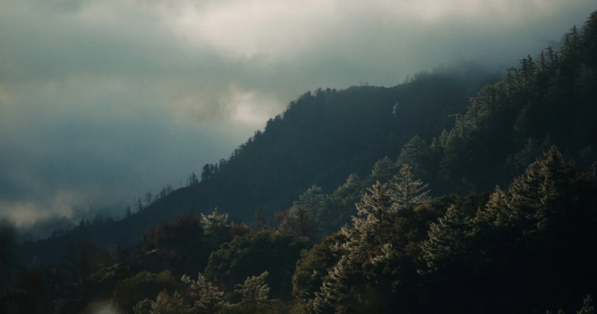 NGROMB Still V1_2.2.16.jpg