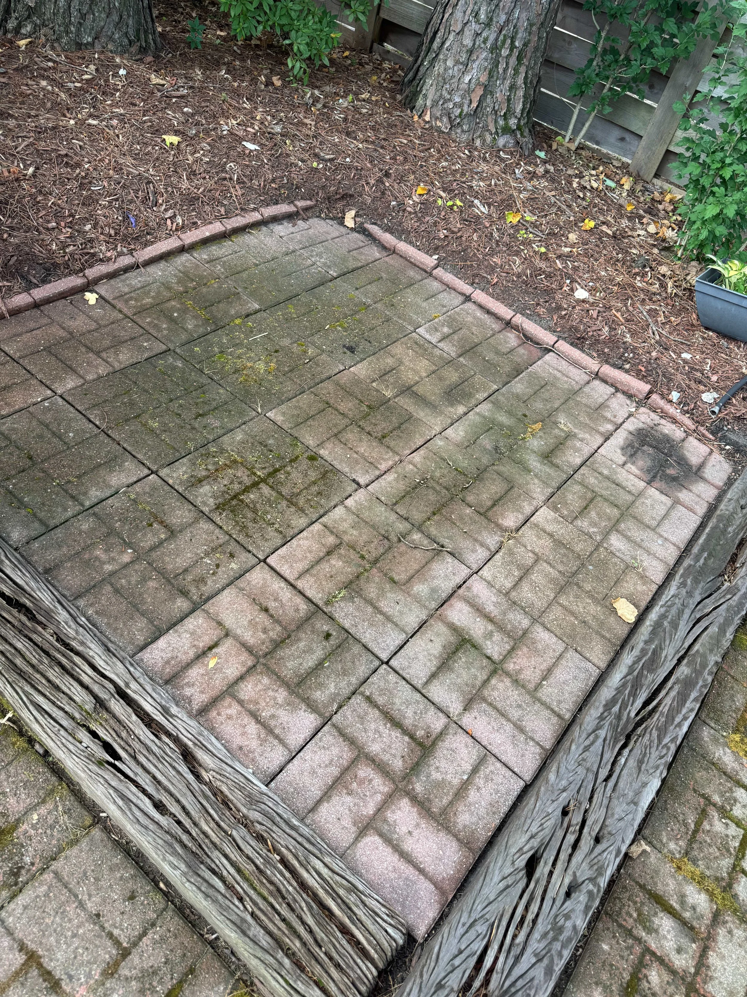 A small outdoor brick patio with moss and dirt accumulated on the bricks, surrounded by a wood and stone border, with trees, plants, and a wooden fence in the background.