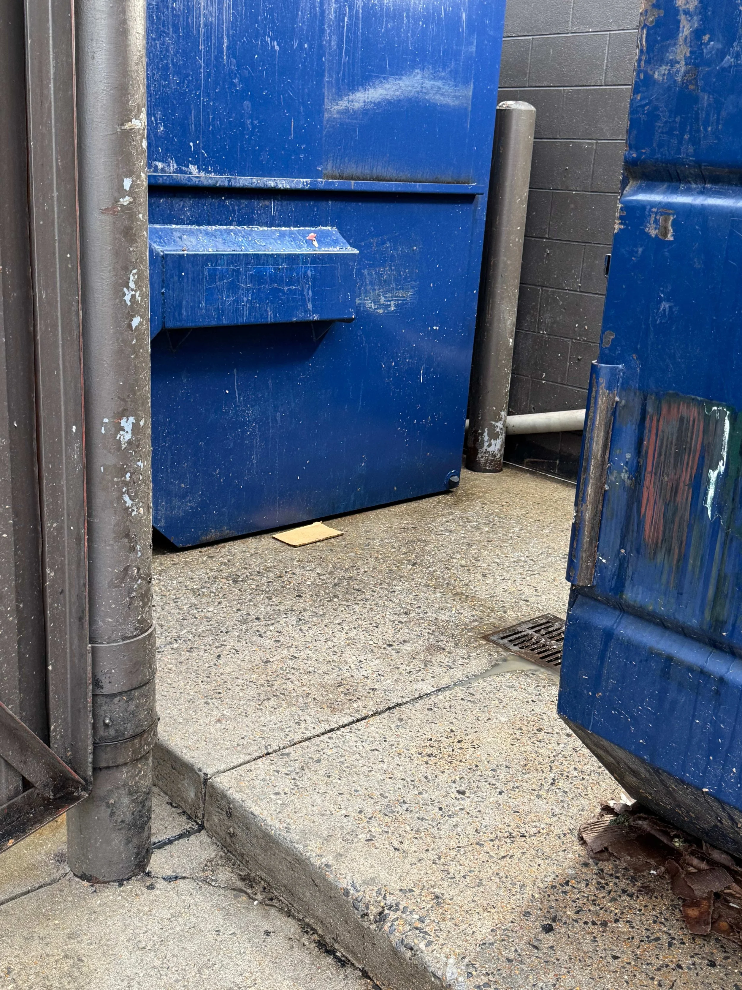 Close-up of a blue trash bin outside, with a small square object on the ground in front of it, and parts of a drain grate, pipe, and cement sidewalk visible.