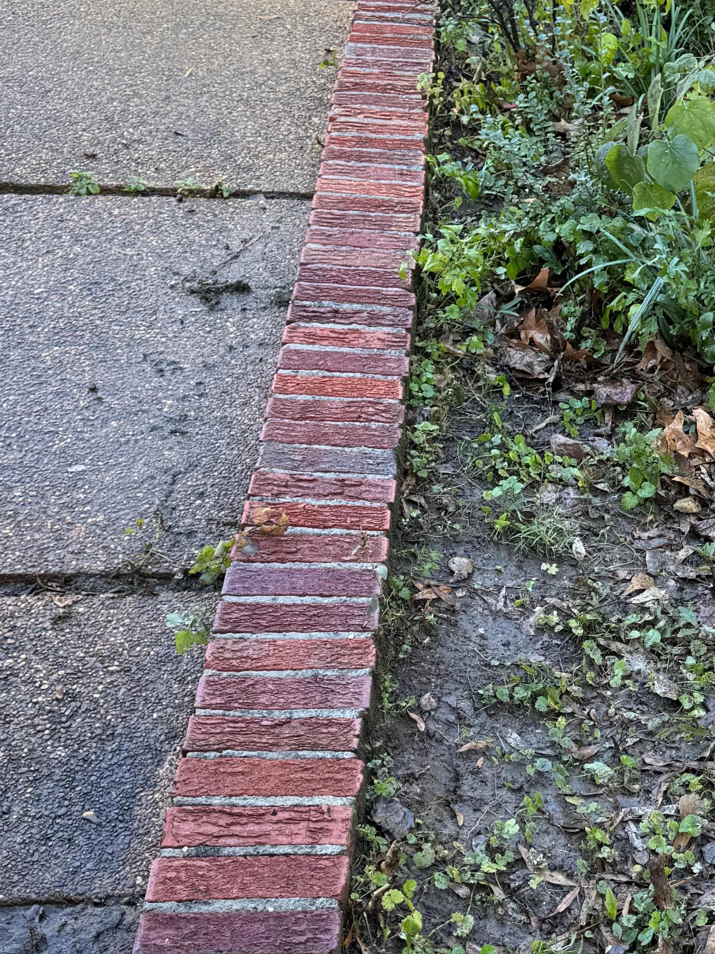 A sidewalk with a brick border separating it from a dirt area with green plants and fallen leaves.