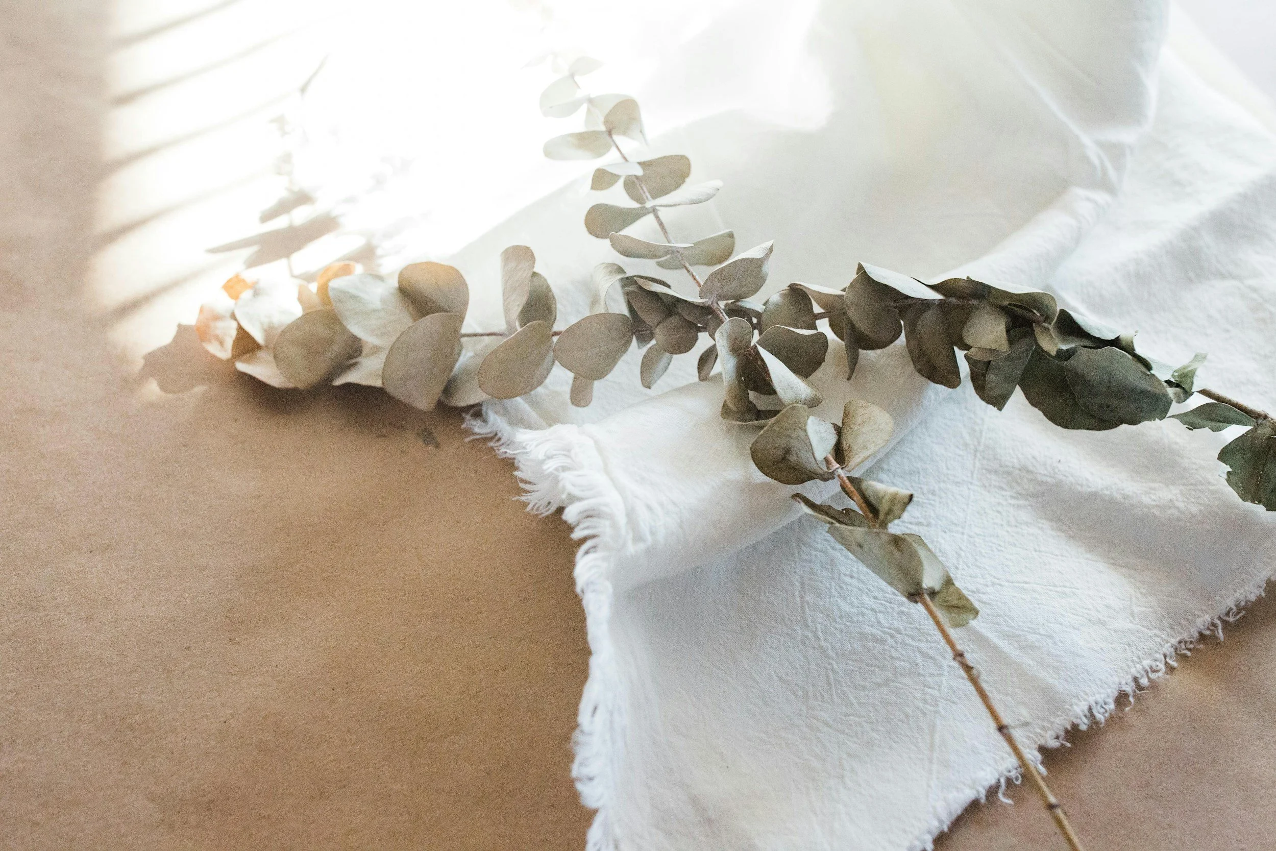 A sprig of dried eucalyptus leaves resting on a white fringed cloth, with sunlight casting shadows on a beige surface.