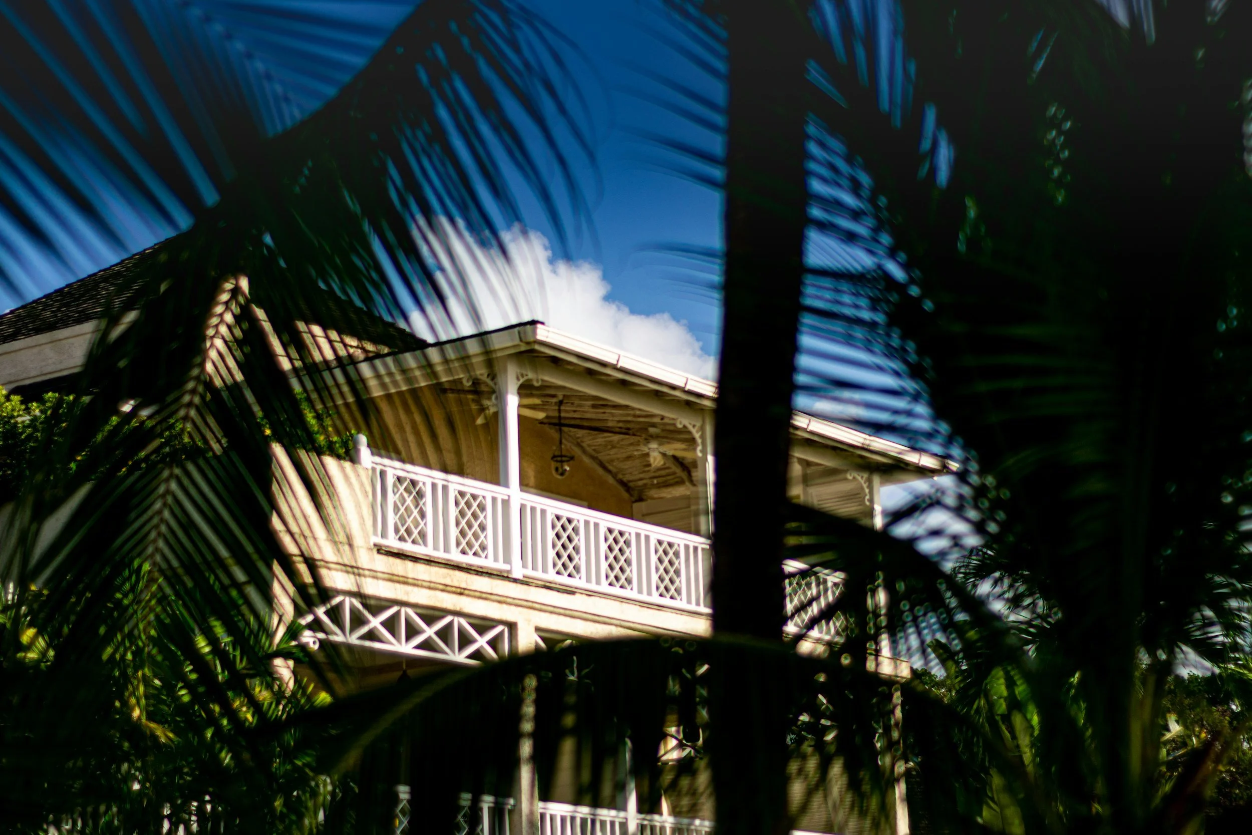 A two-story house with a white balcony, surrounded by lush green palm trees, under a clear blue sky with some clouds.