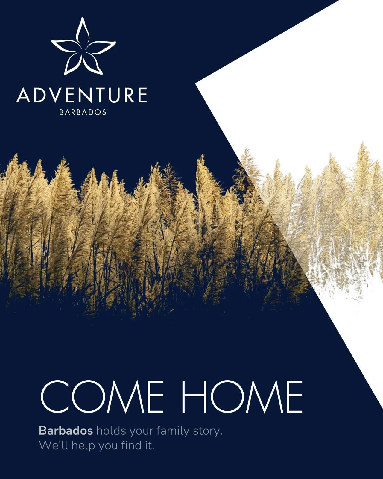 There is something powerful about walking the same ground your ancestors did.

Introducing The Heritage Journey in Barbados, a concierge led roots travel experience designed for travellers returning to the island to reconnect with family history, cul
