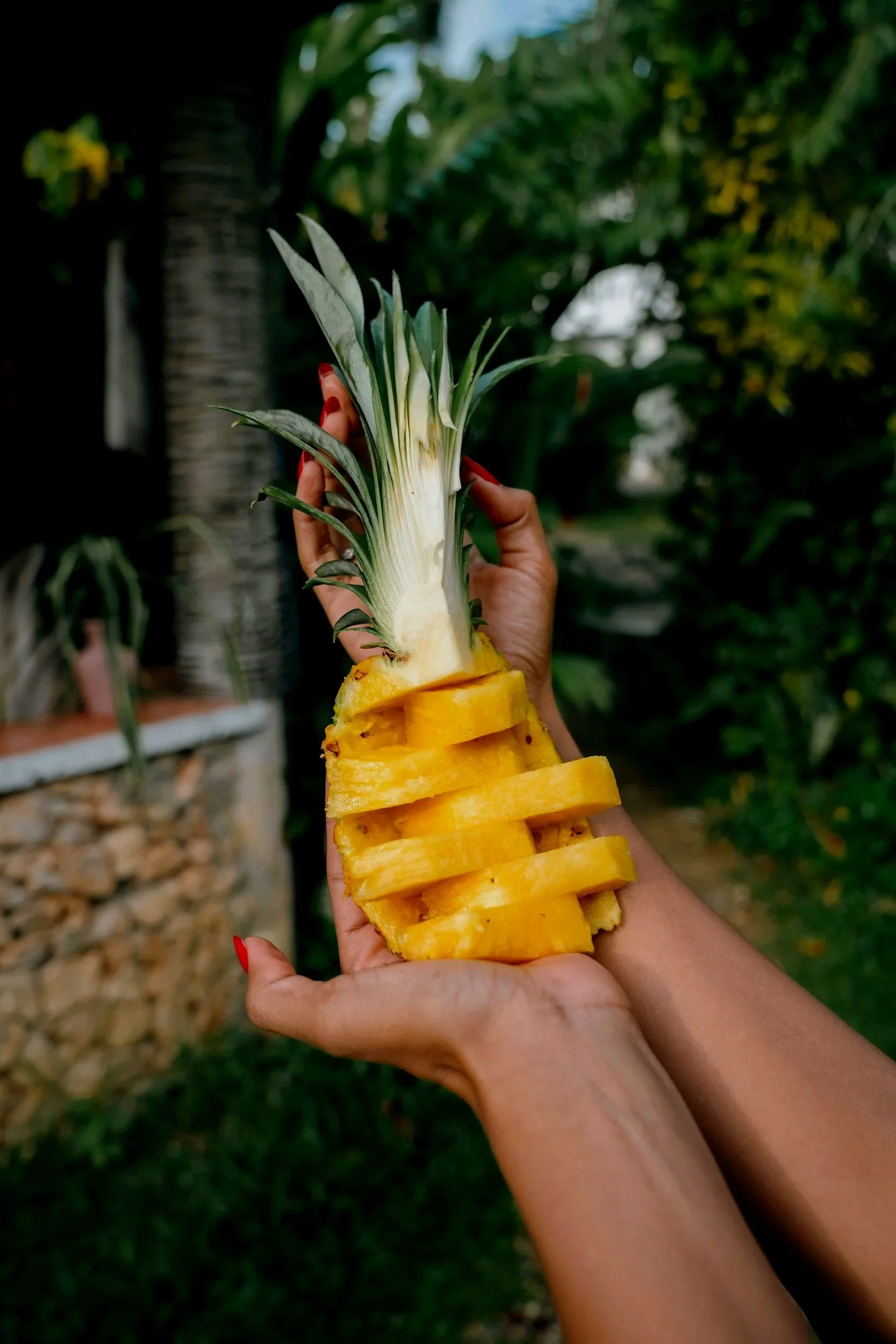 Person holding a halved and sliced pineapple with the top still attached, outdoors with greenery in the background.