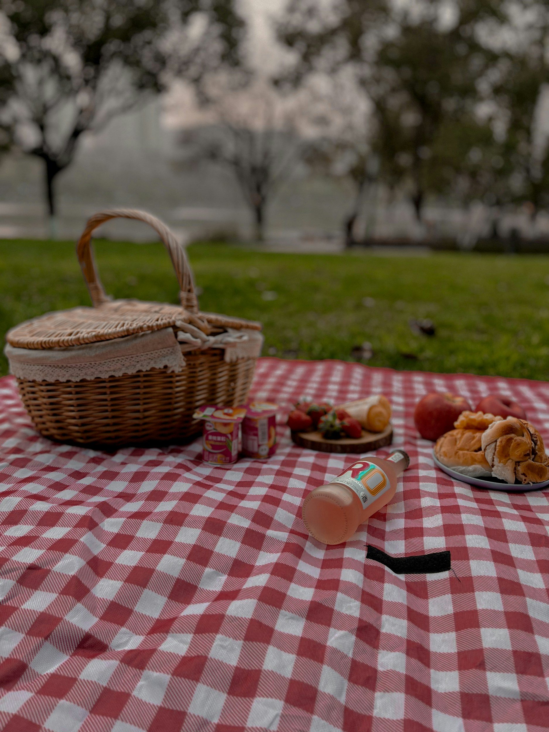 Free Picnic in the Park