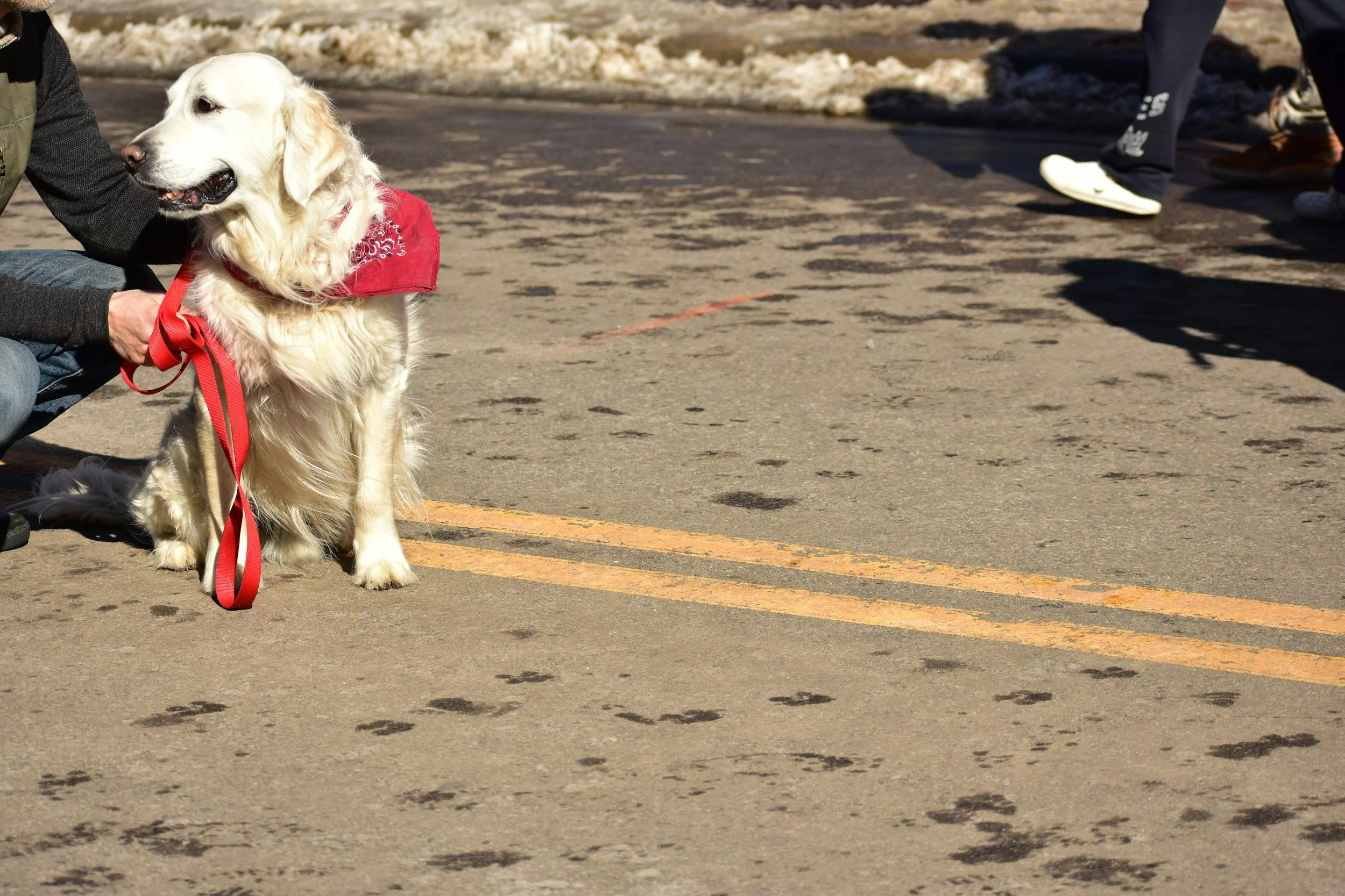 Smallville Pet Parade