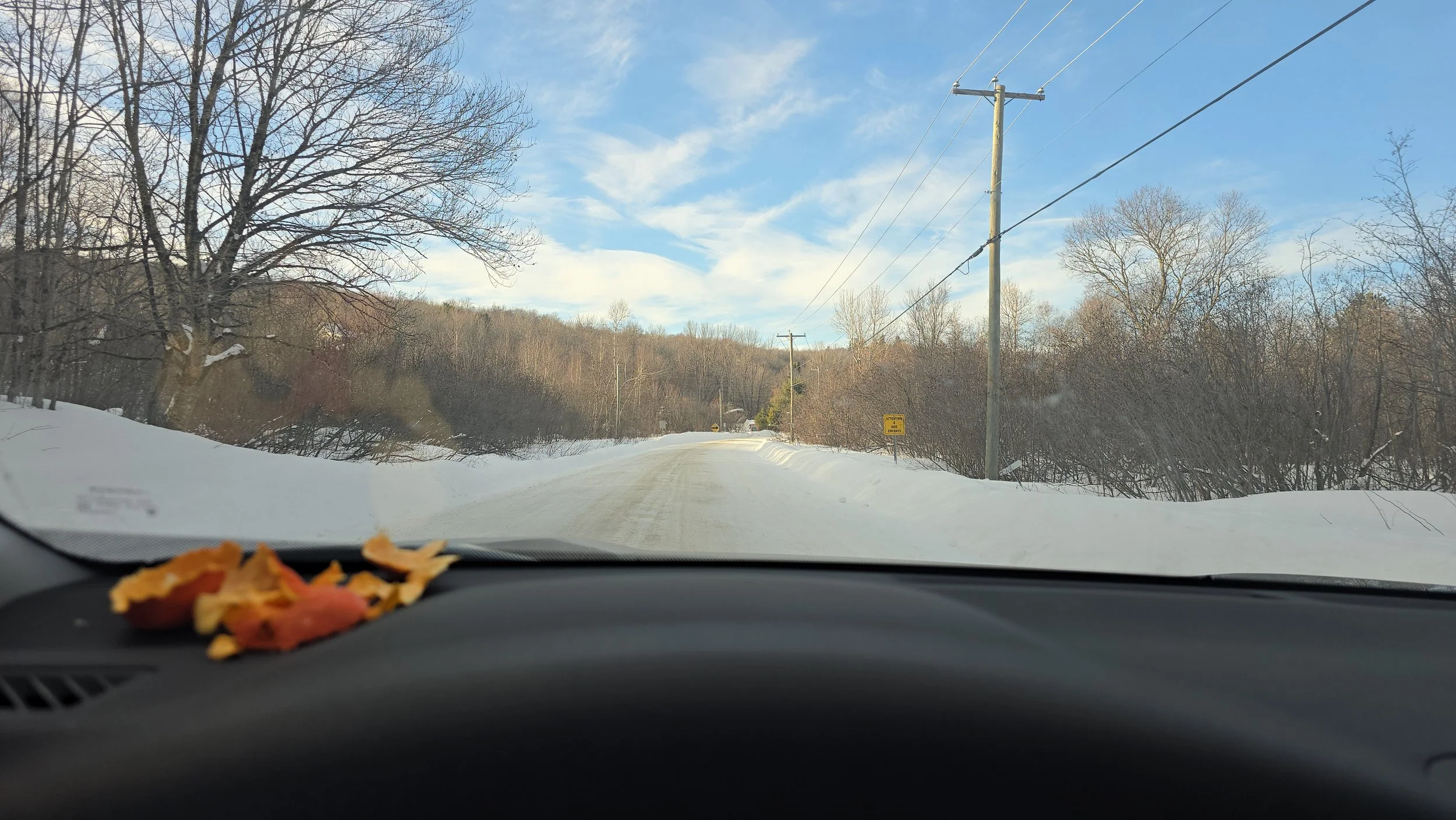 20260213_153836.jpg