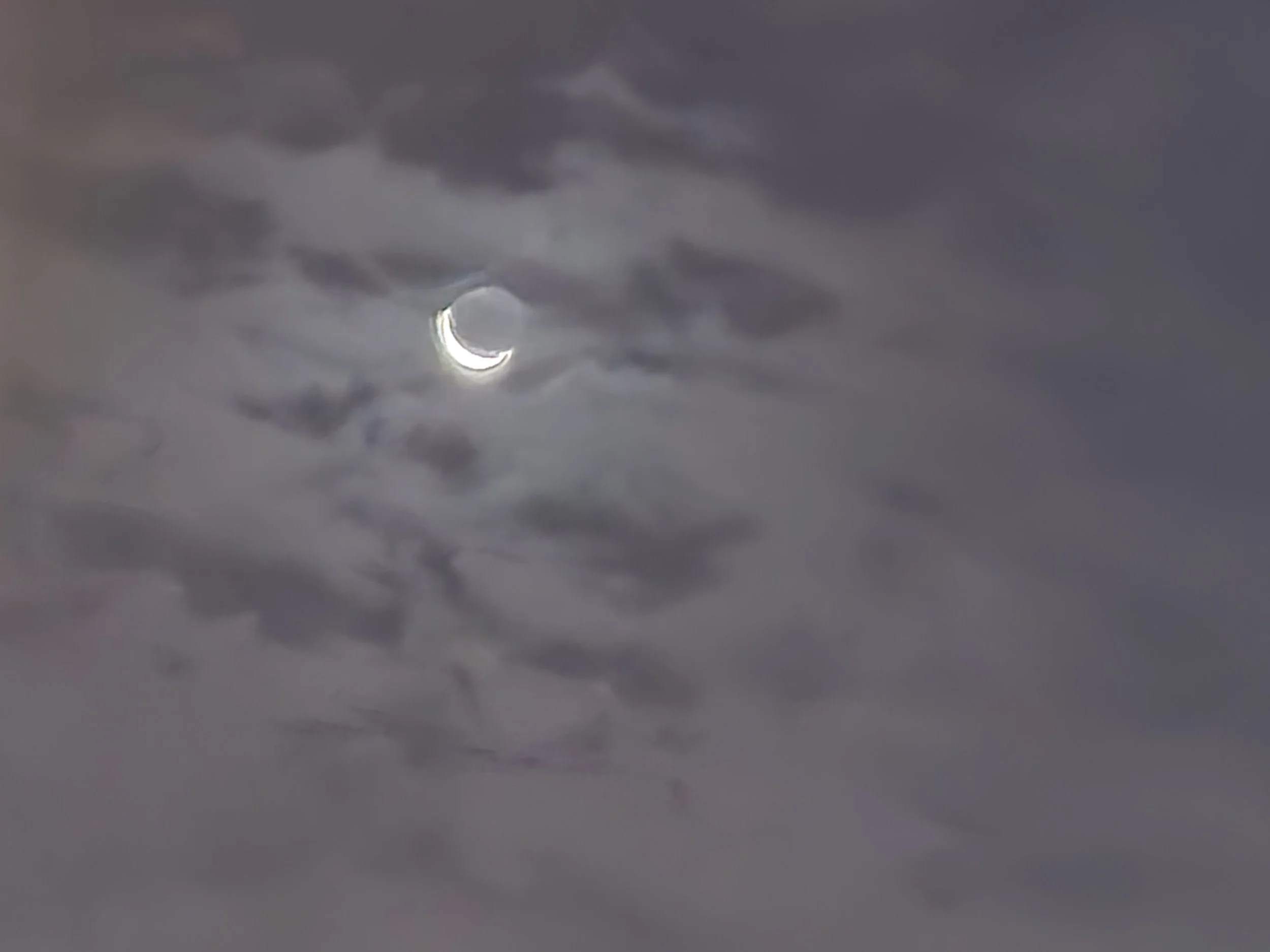 20251116_054856.jpg