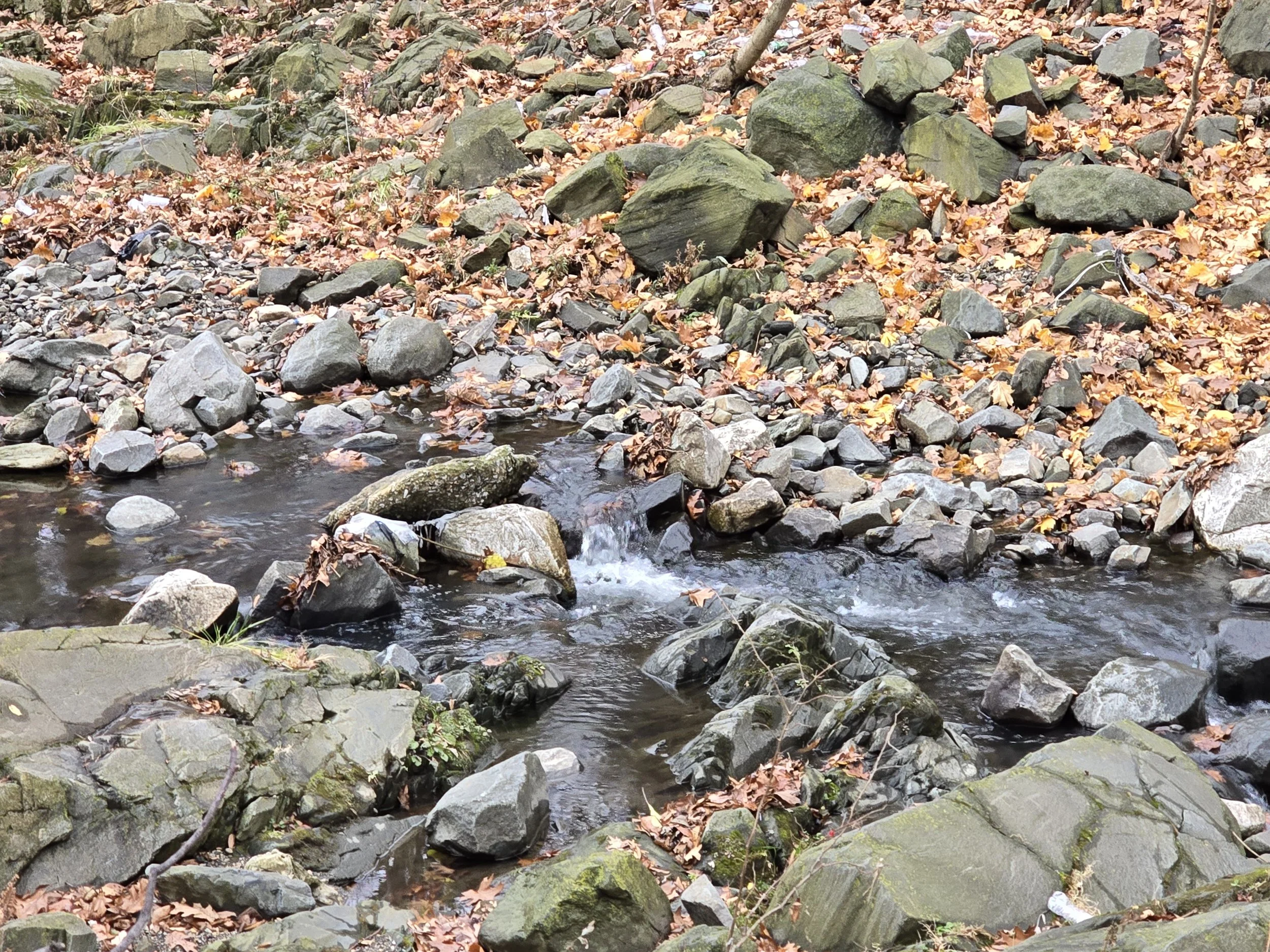 20251130_154930.jpg