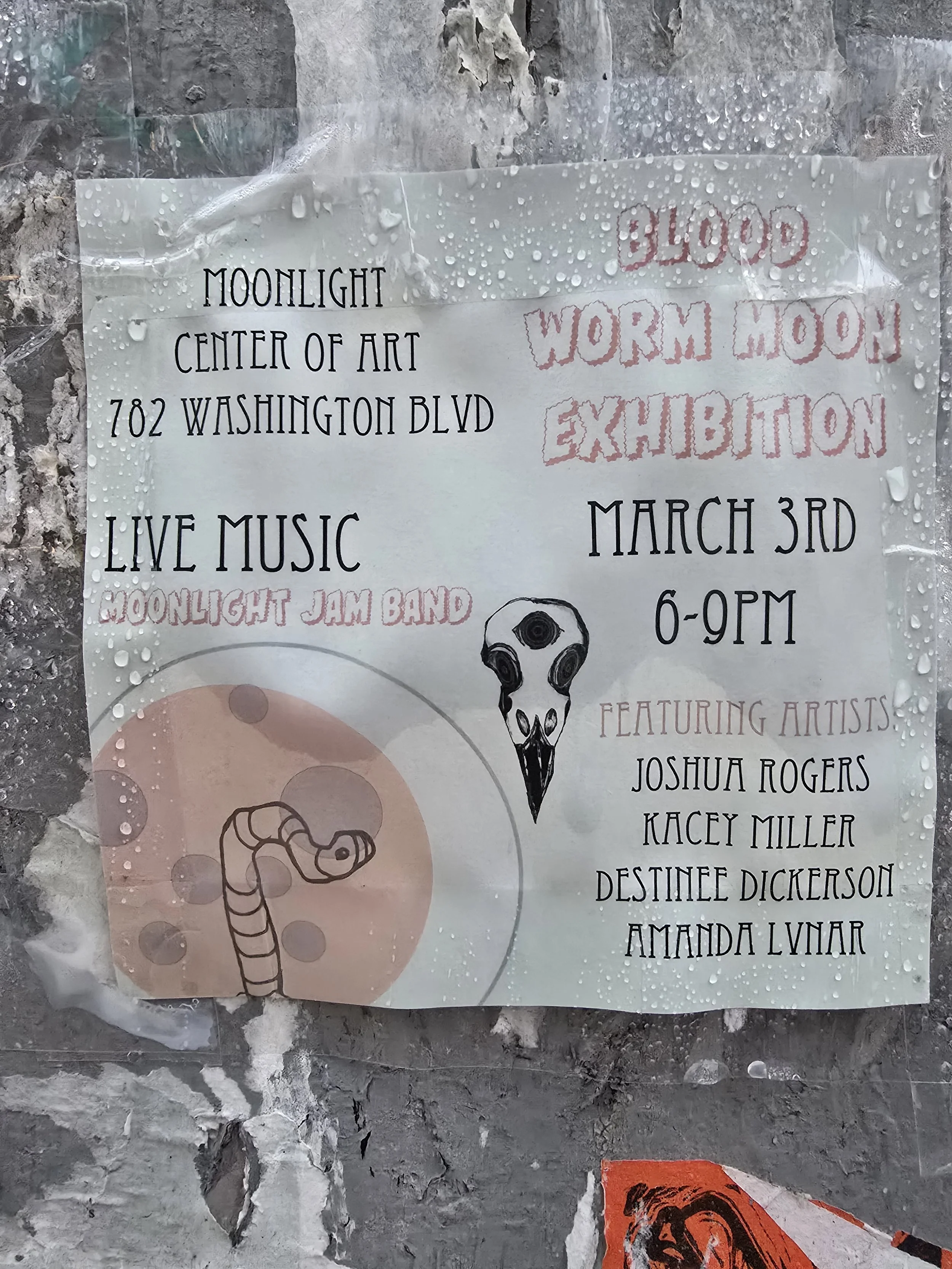 20260303_064947.jpg