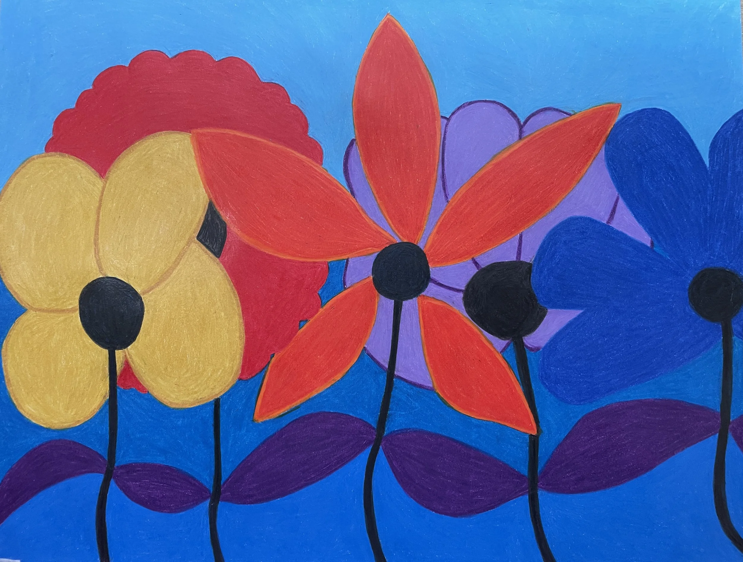 "Petal Precedence" (2026) Original Artwork by McAllister© Oil-based colored pencil on paper,  11" x 15", Private Collection