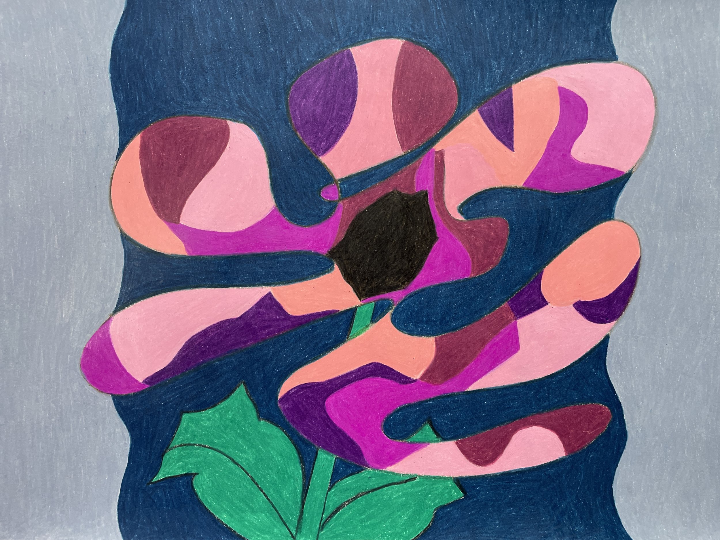 "Flower" (2026). Original Artwork by McAllister© Colored pencil on paper, 11" x 14” 