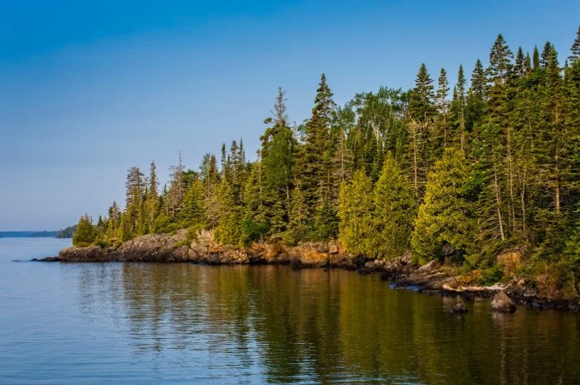 Evergreen forest along a calm, rocky lake shoreline