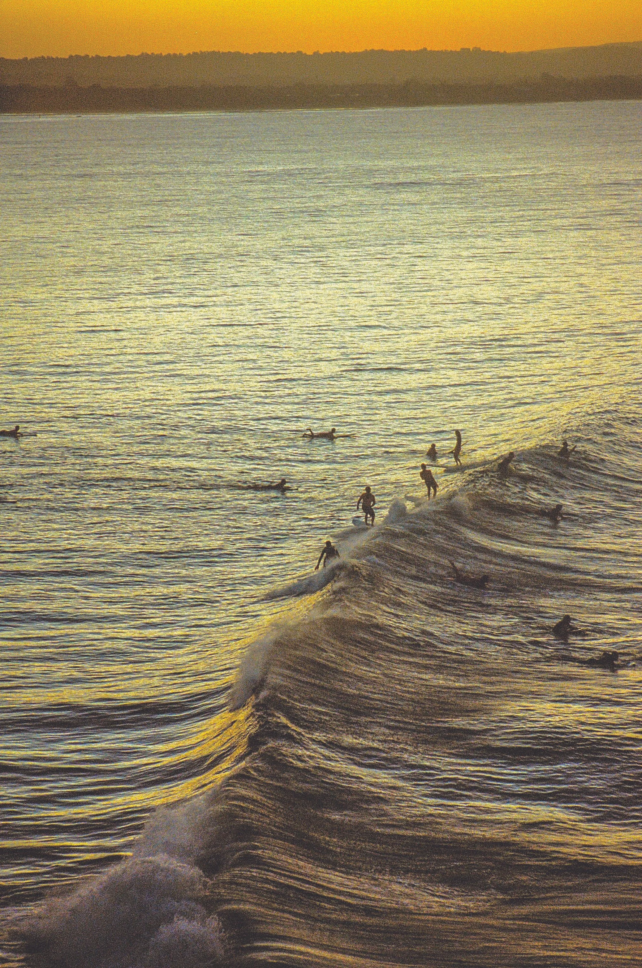 Alice White: on catching a memory