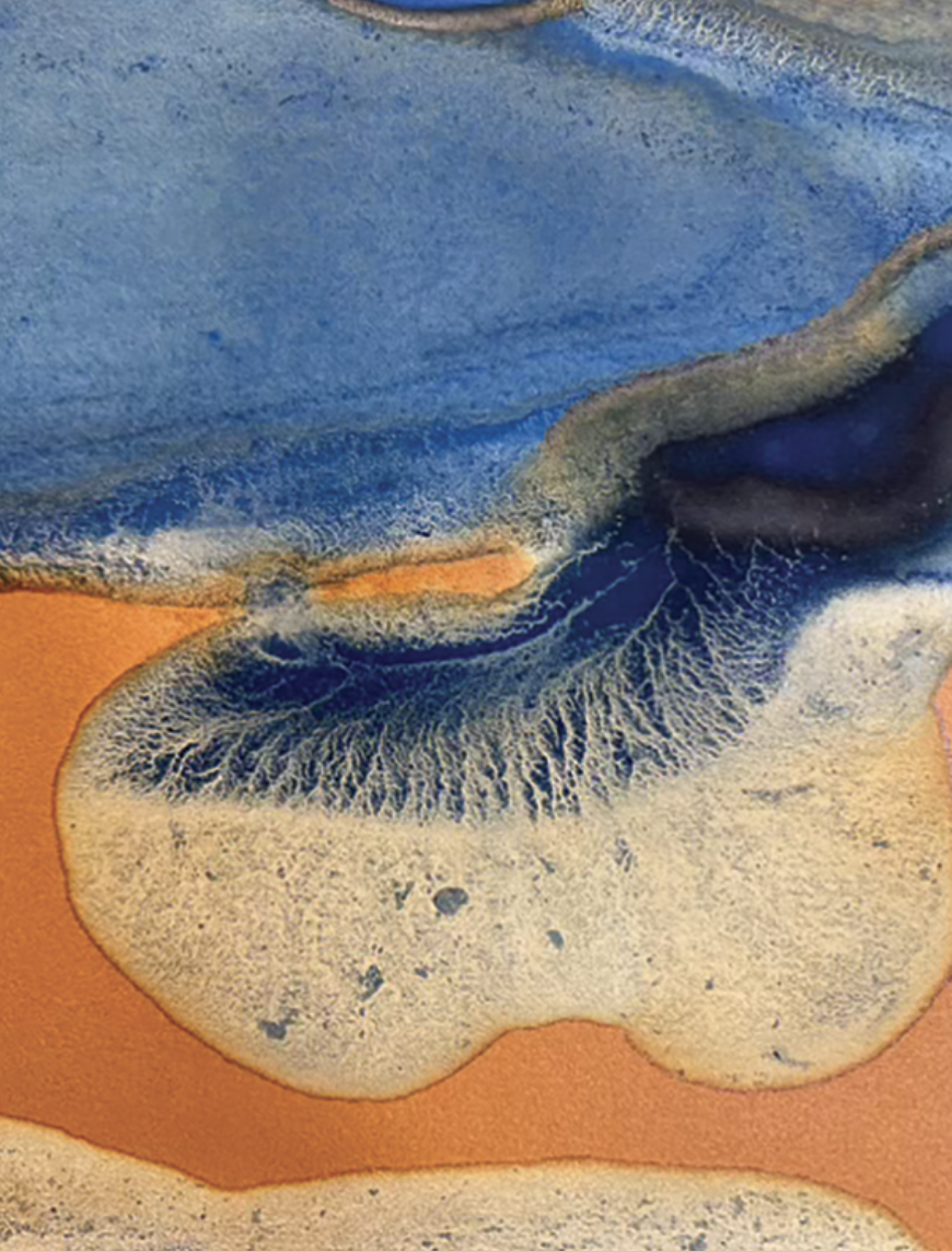 Screenshot 2026-01-07 at 12.35.35 PM.png