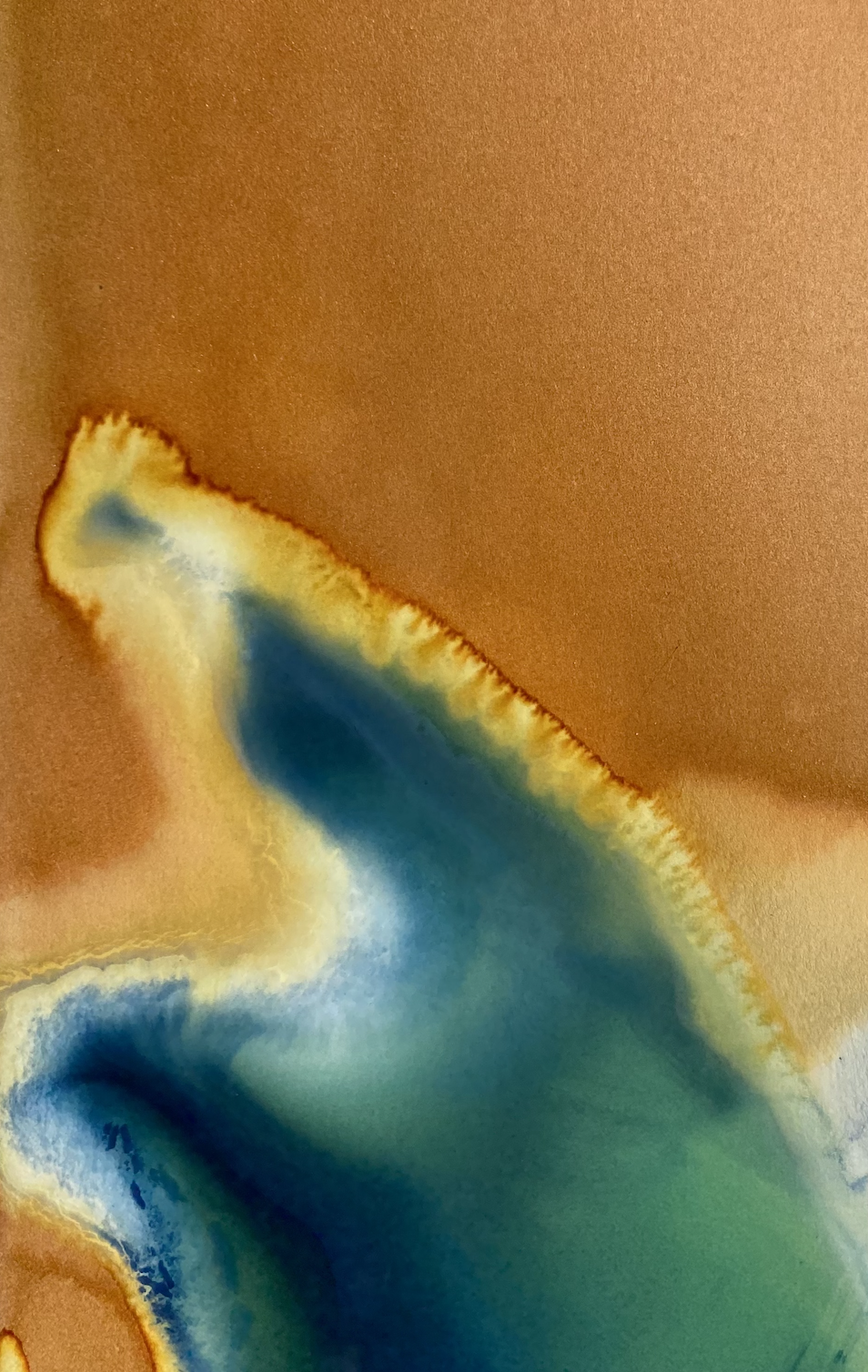 RE:IMAGINED CYANOTYPES