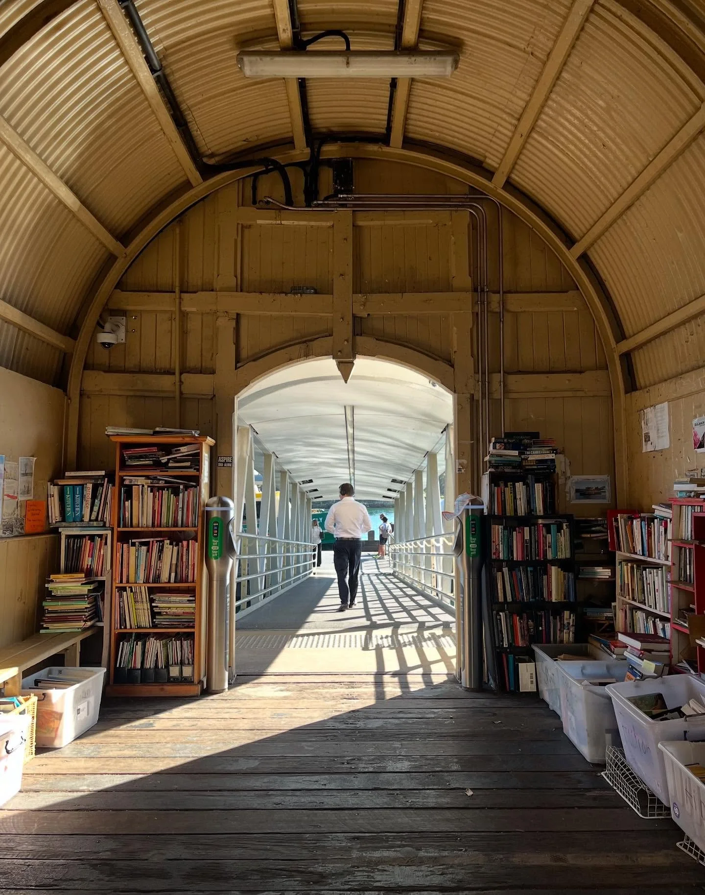 Happy Jacaranda Season!! 💜

We&rsquo;ve been busy researching, experimenting, and planning behind the scenes these past few weeks as all of your lovely submissions have been rolling in (3 weeks left to submit written work! Reach out if you have an i