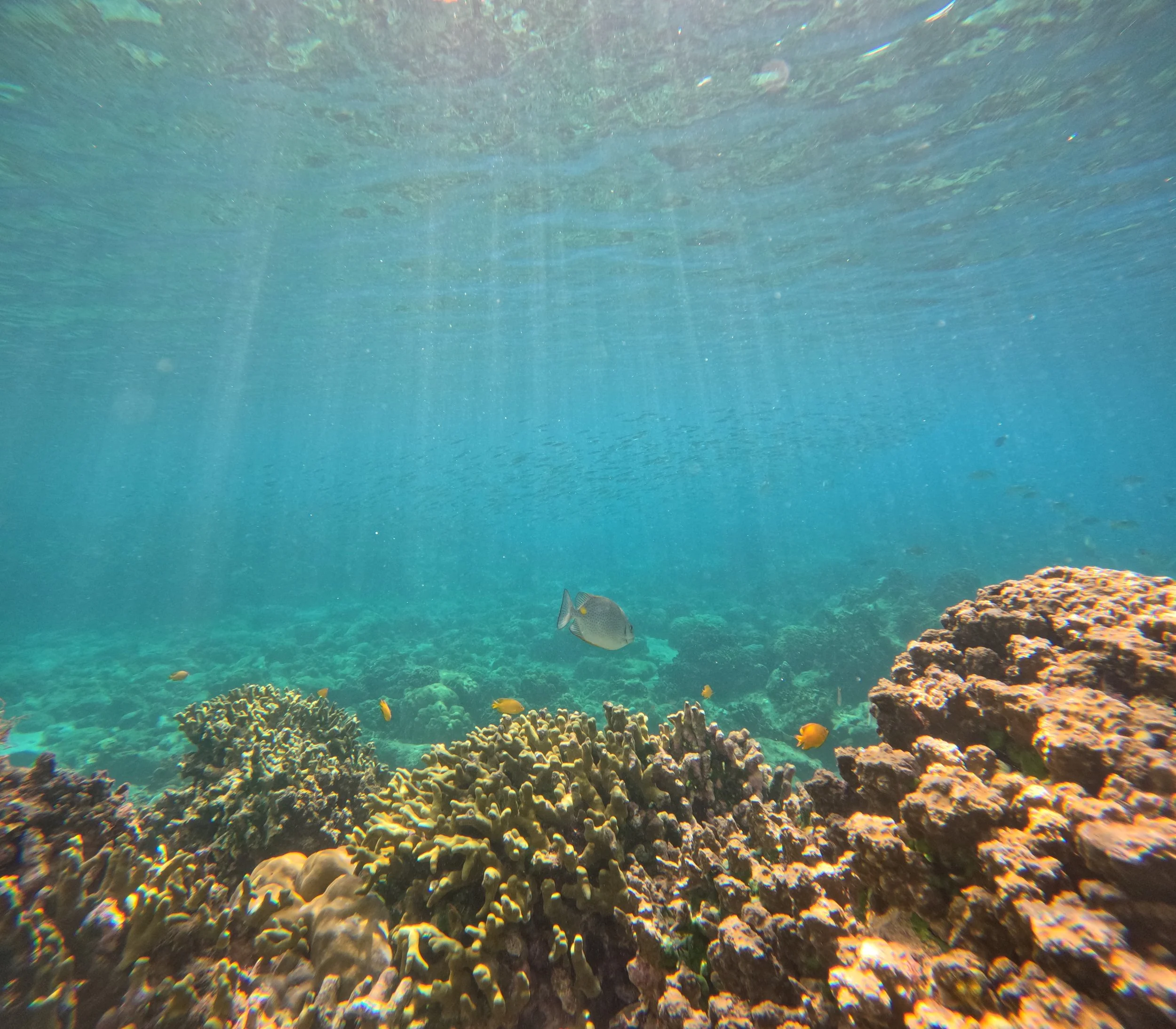 Sumilon Island Marine Sanctuary