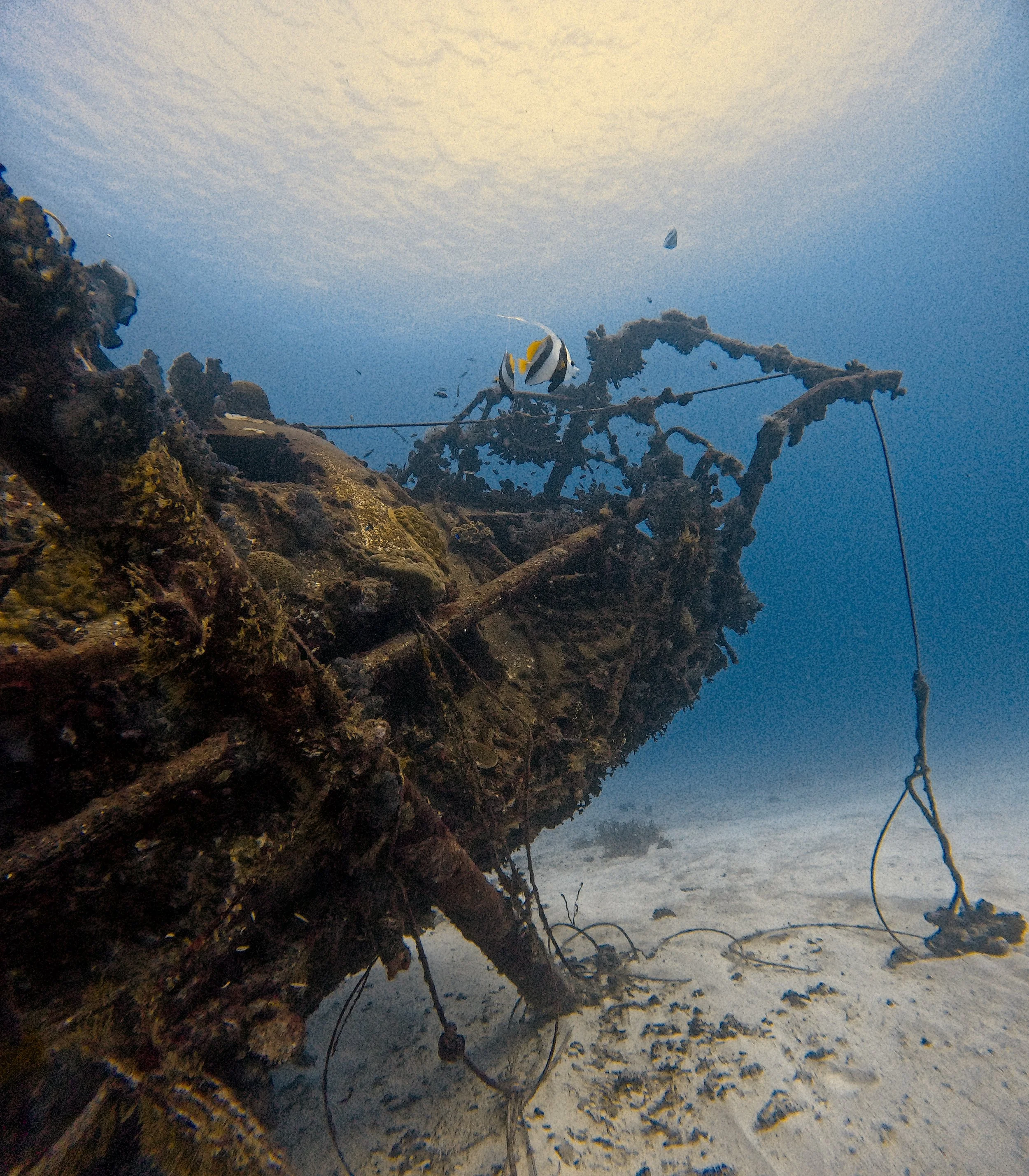 Lady Elliot Island, Queensland