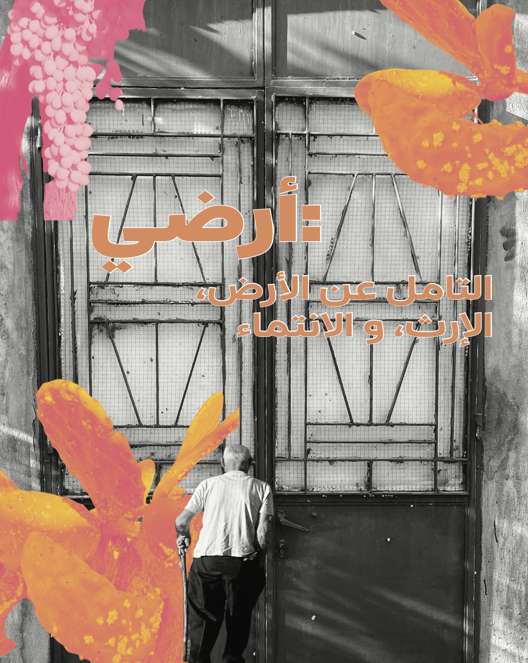 Ardi: A meditation on land, legacy, and belonging