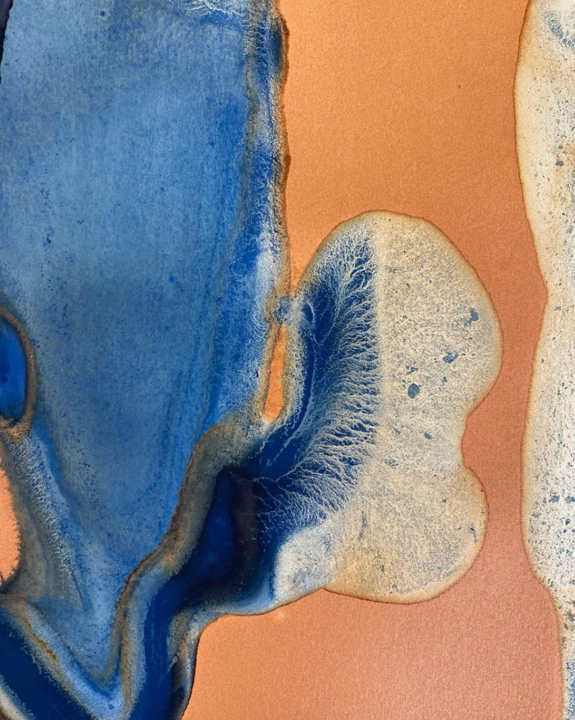 Abstract artwork with blue, beige, and orange colors, featuring organic shapes and textured patterns.