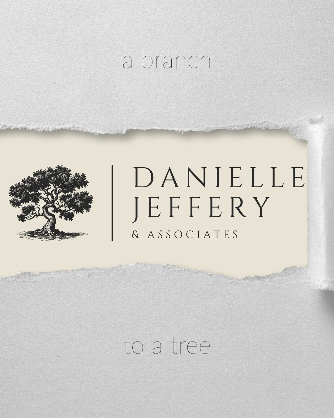 🌿 From Branch to Tree: A New Season for Our Practice
As our practice has grown from a solo endeavor to a collaborative team of therapists, we felt it was time for our name and logo to grow with us. What began as Danielle Counselling is now Danielle 