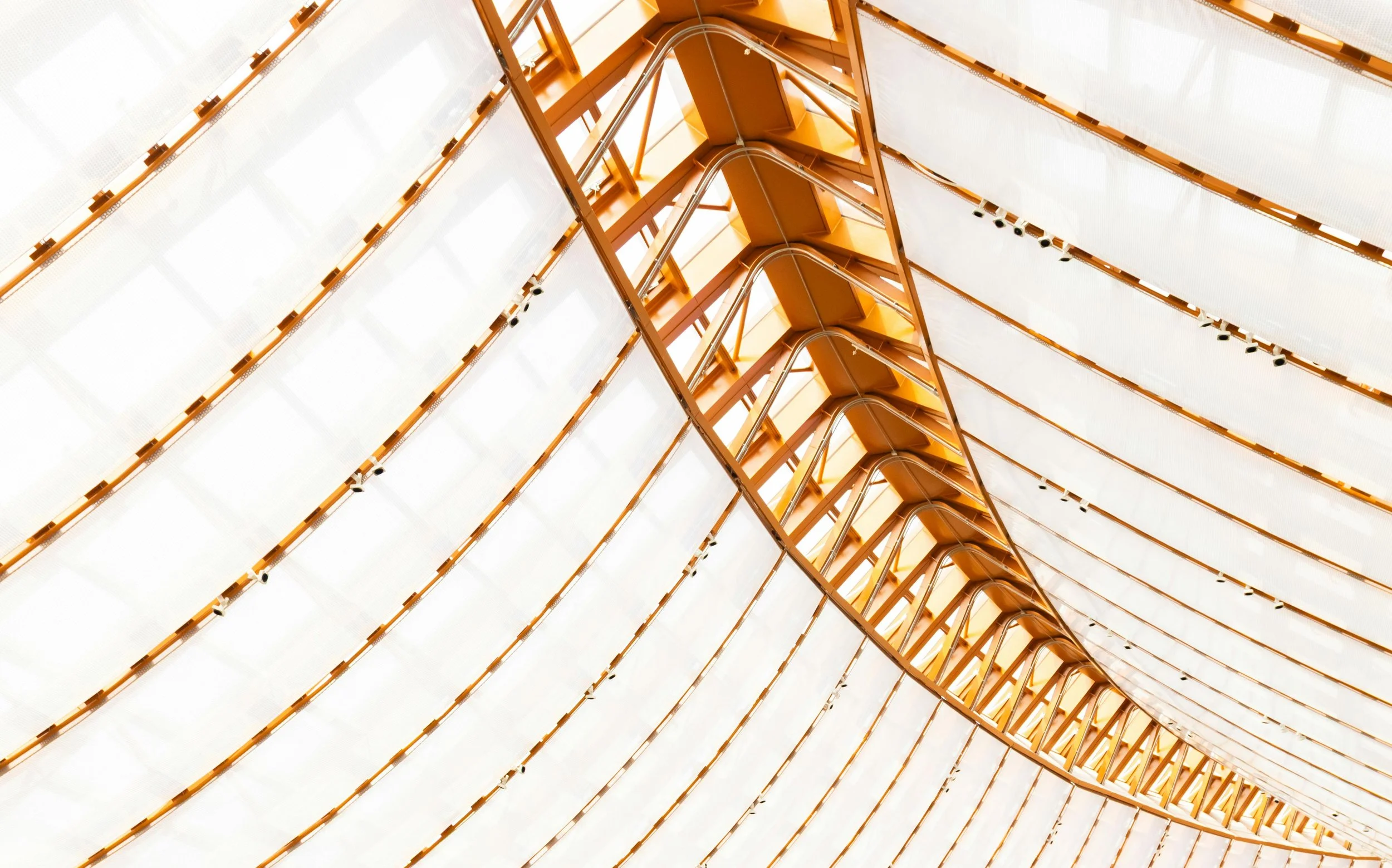 7-Day Executive Operating System Reset™ - Full Immersion