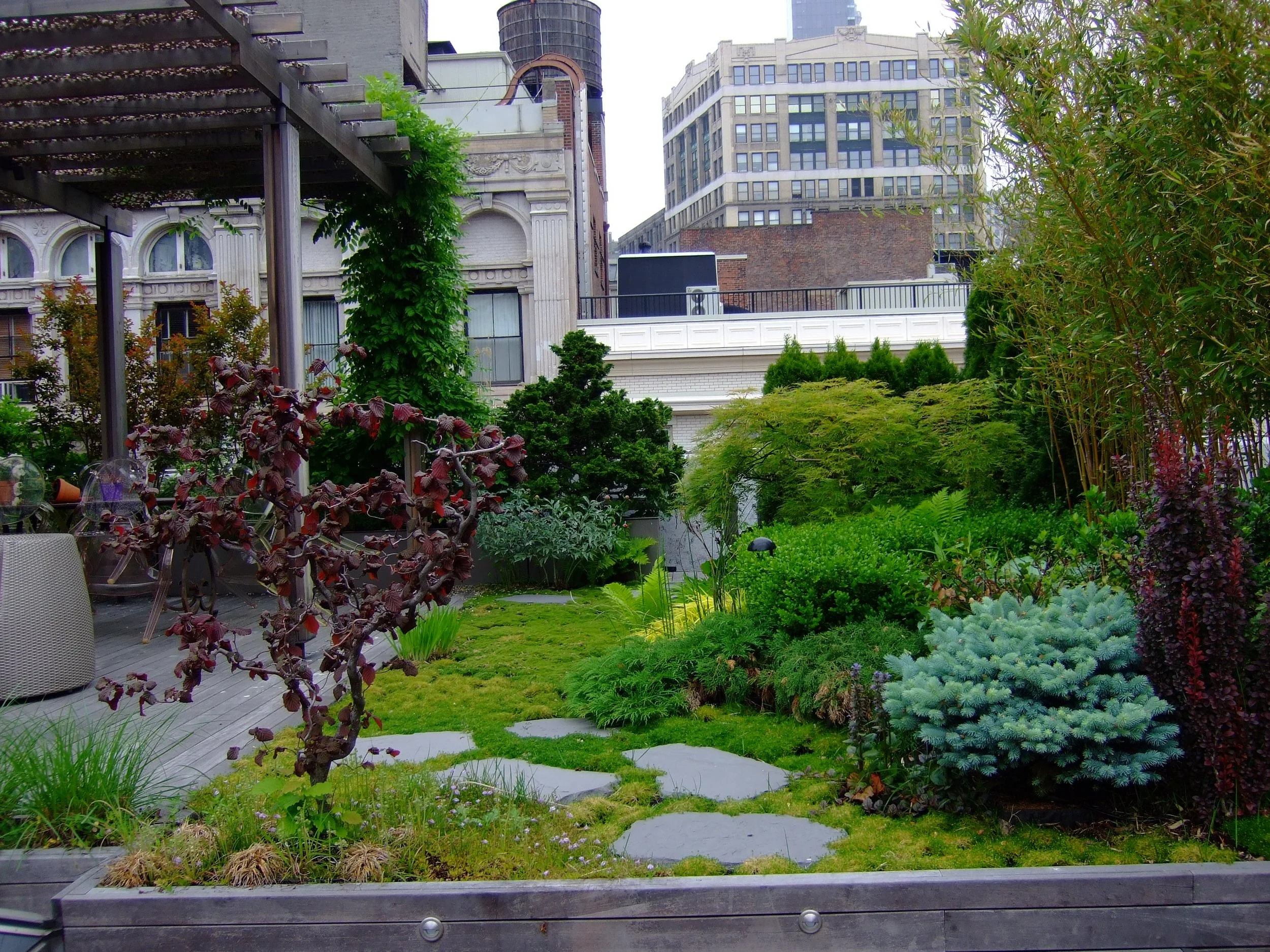 DSCF8400.JPG