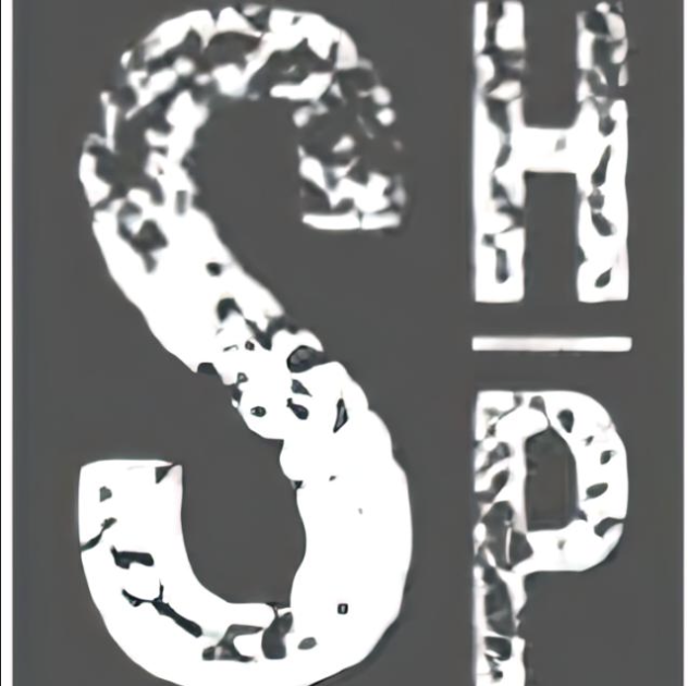 Stylized black and white graphic of the letters S and P separated by a vertical line, with a textured pattern.