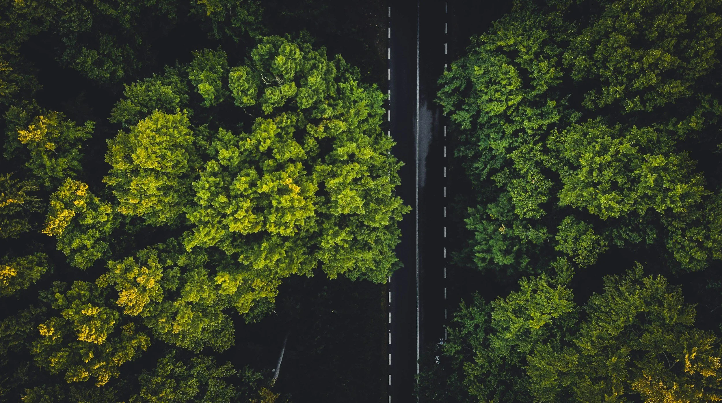 unsplash-image-QqSIuvz94s8.jpg