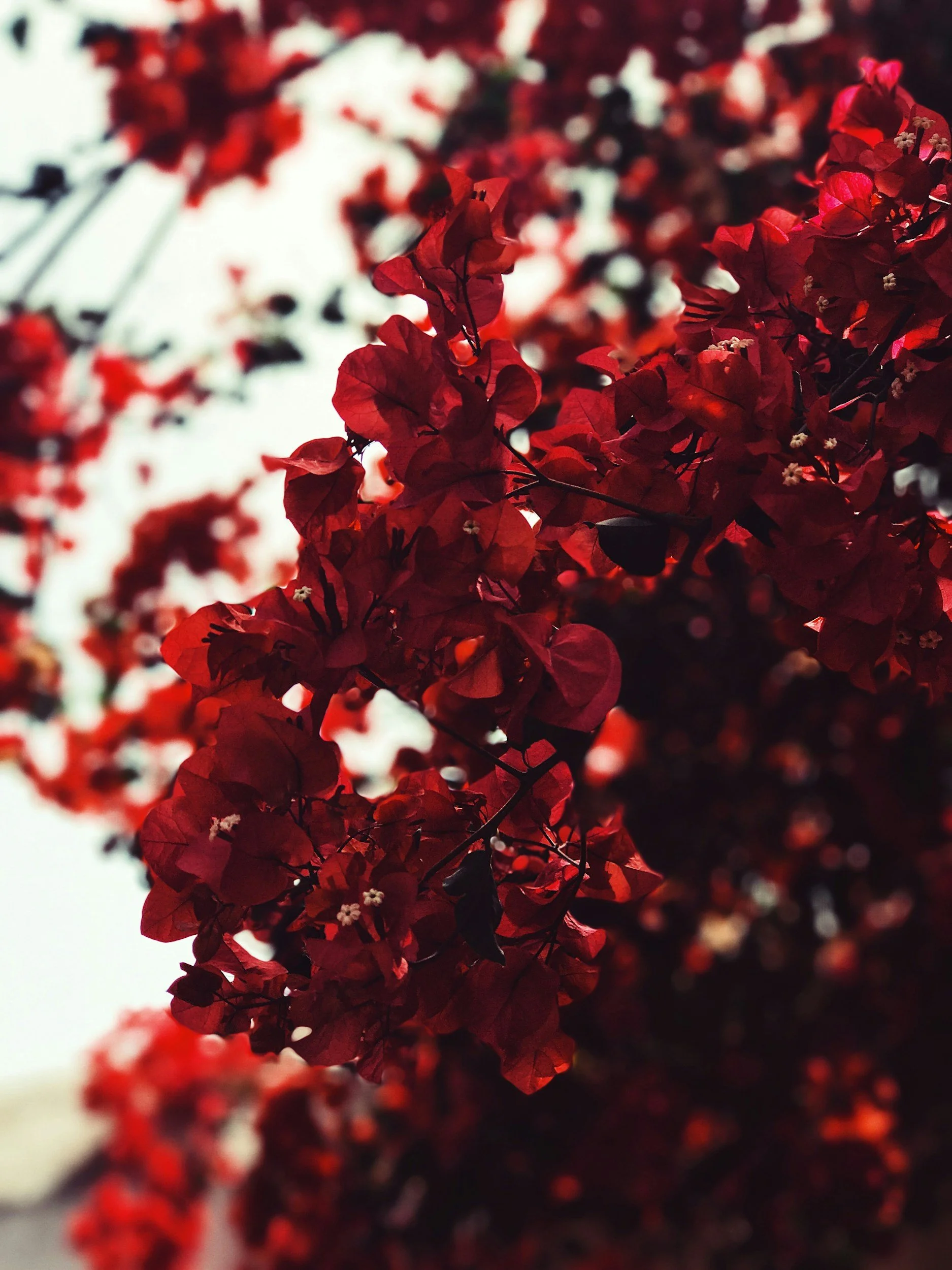 unsplash-image-NNTGEoohoE4.jpg