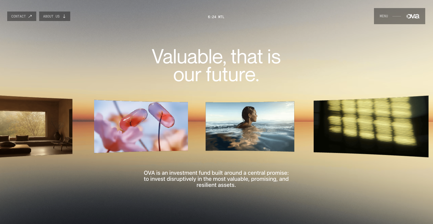 Hero section of a investment firm website, OVA