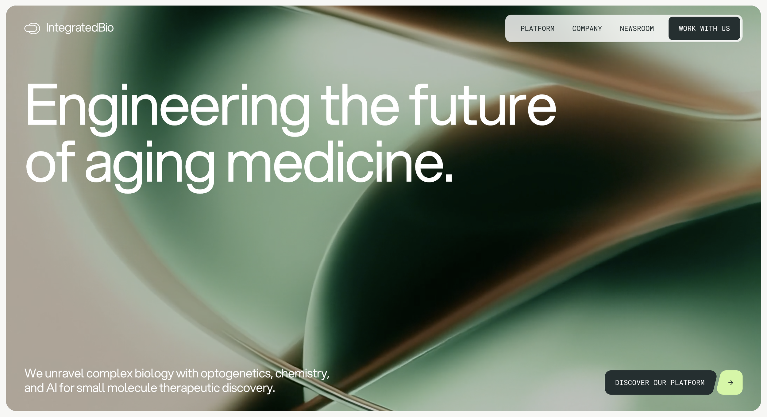 Website copy placement strategy that builds authority and drives action