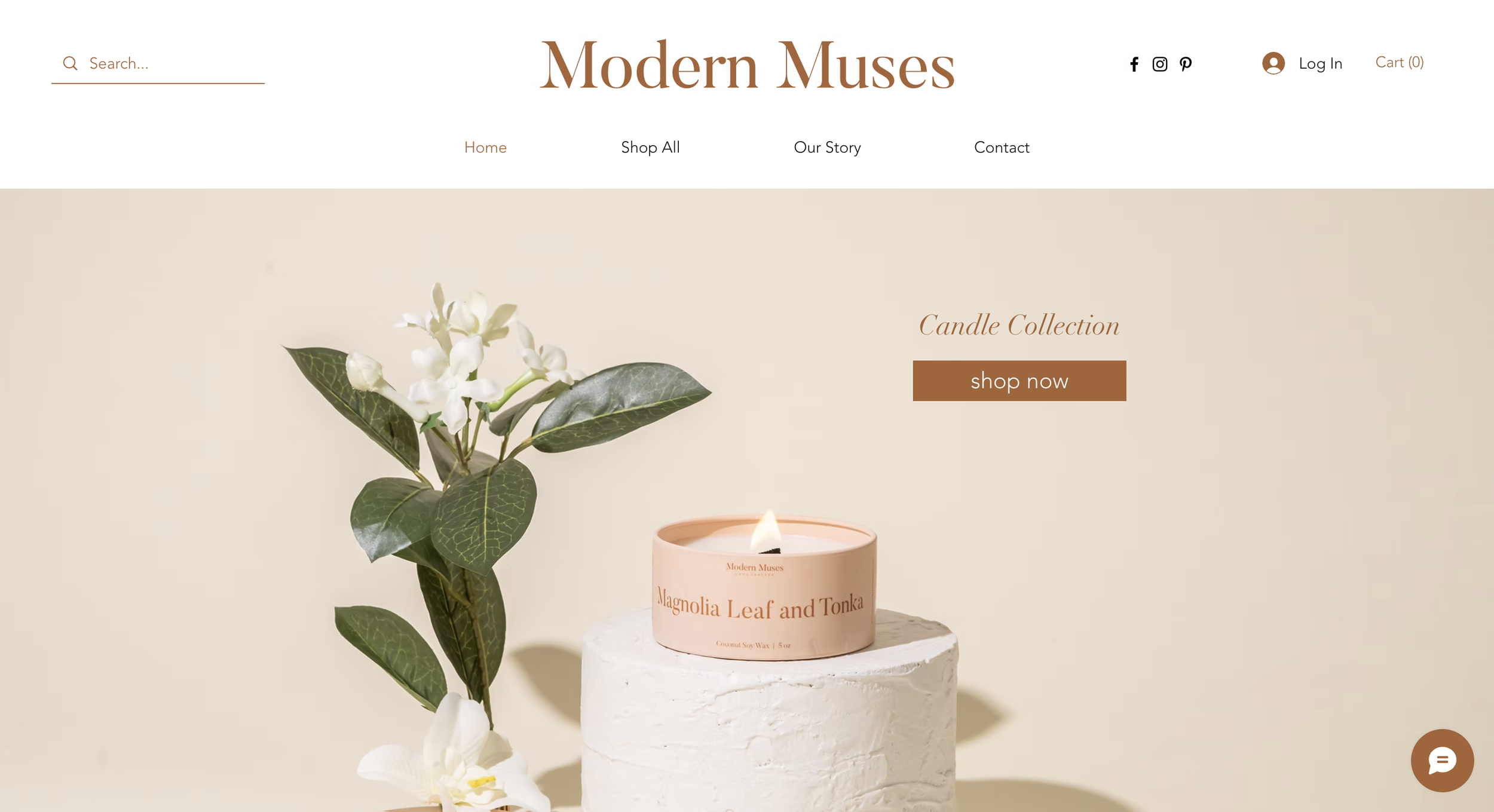 Modern Muses website hero section image from top 10 modern websites