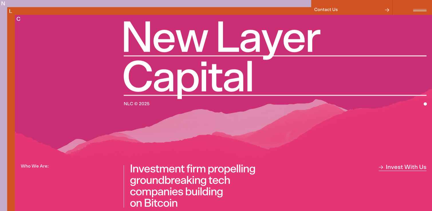 Hero section of a private equity firms website, New Layer Capital