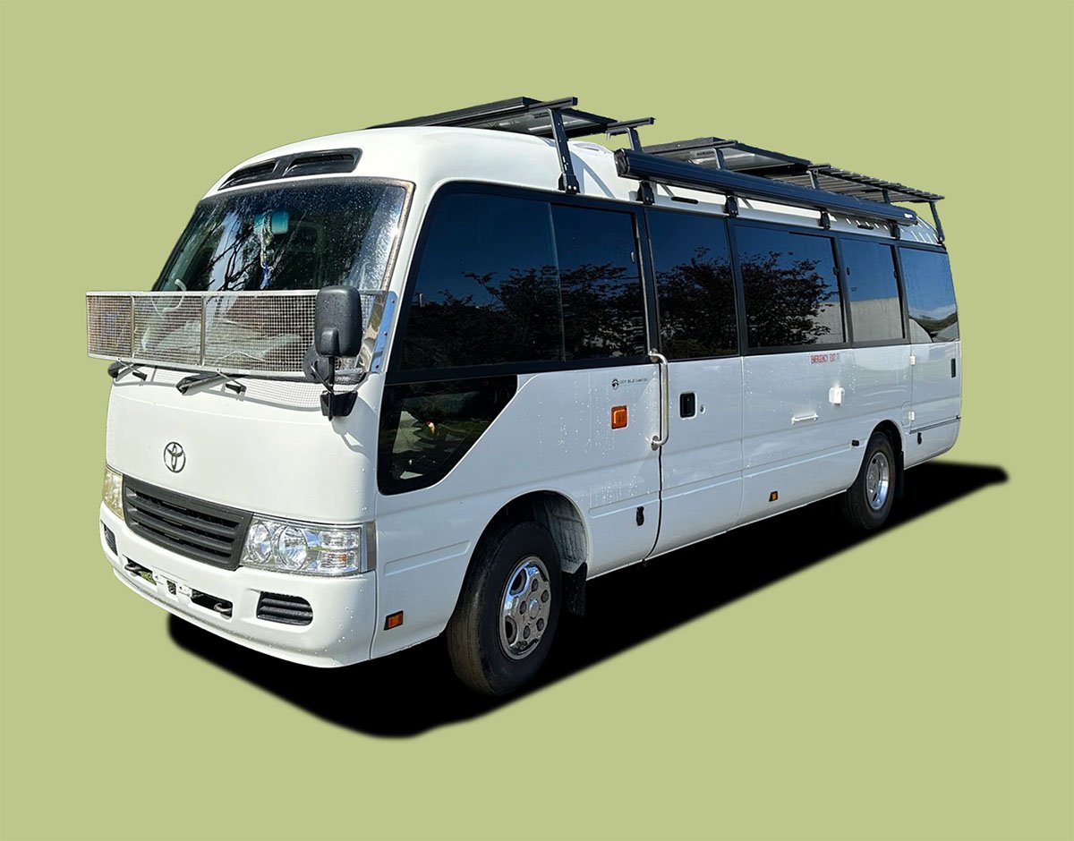 White tour bus with tinted windows, black roof racks, and a front grille, parked on a light green background.