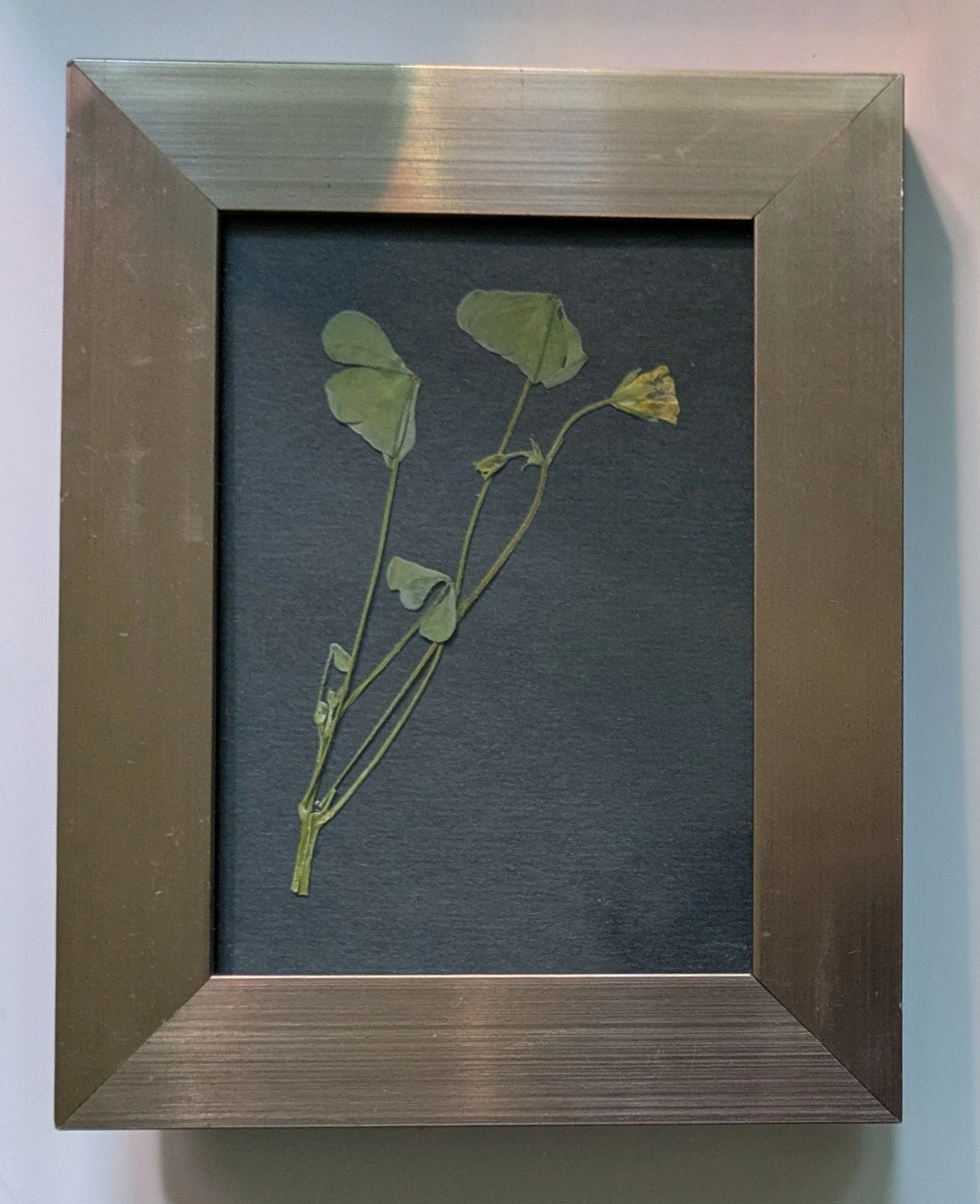Vintage and modern pressed flower art
