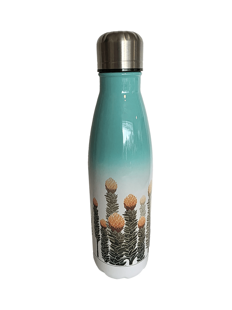 TOMATODO CHUQUIRAGUA