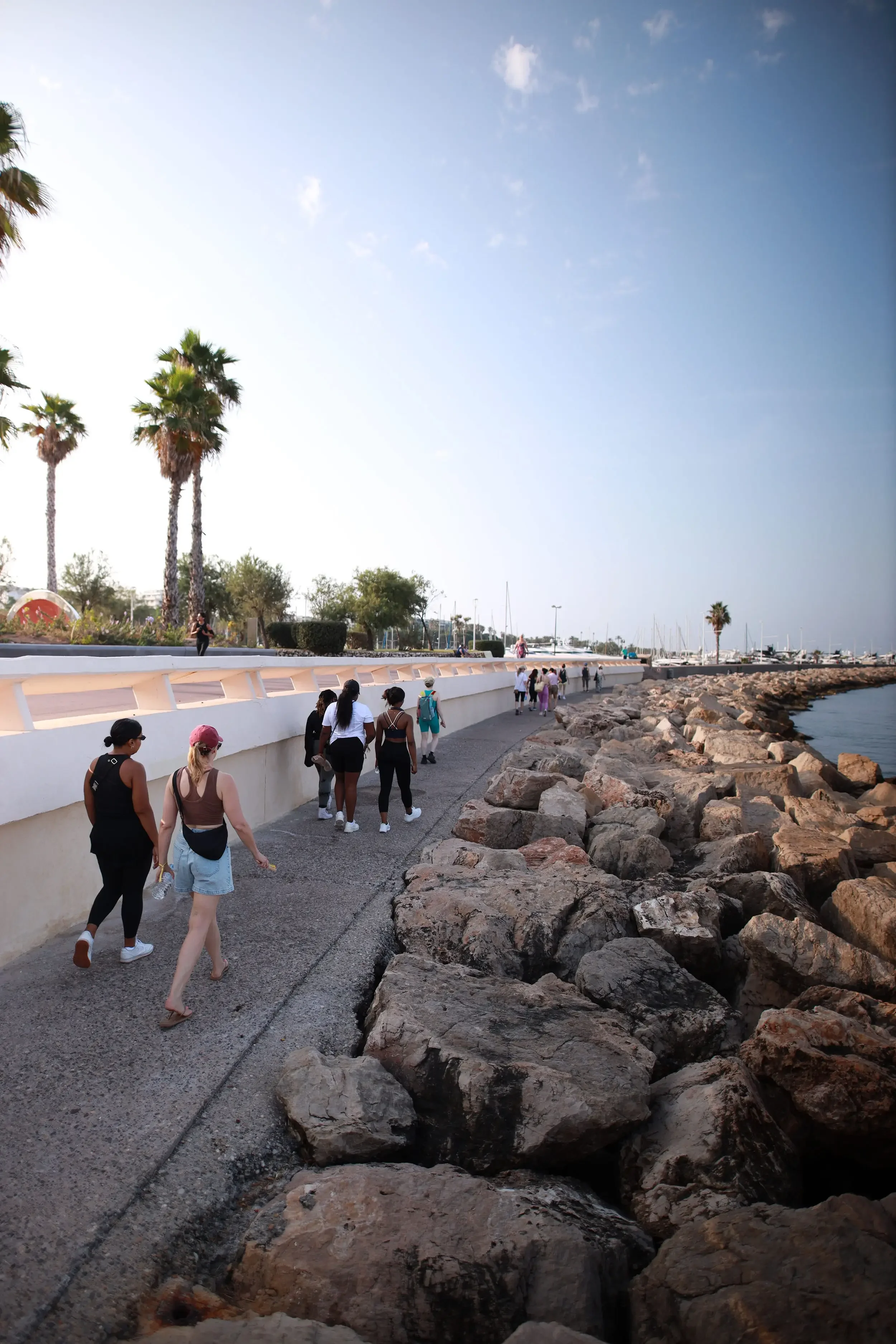 A group of women walking along a paved coastal promenade in Cannes. To the right is a sea wall made of large, jagged rocks bordering the blue water. To the left are tall palm trees and a white architectural wall.